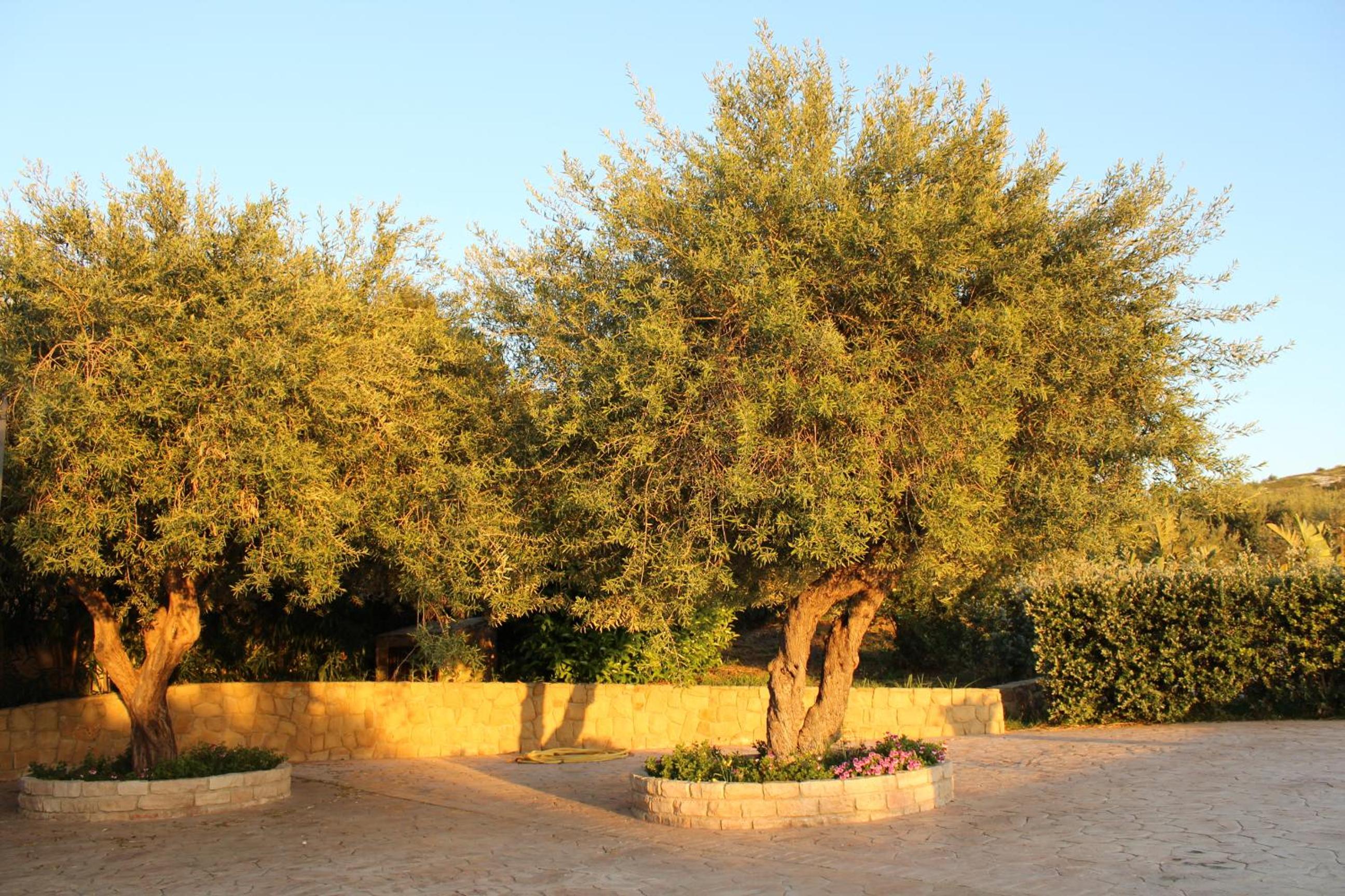Photo 45