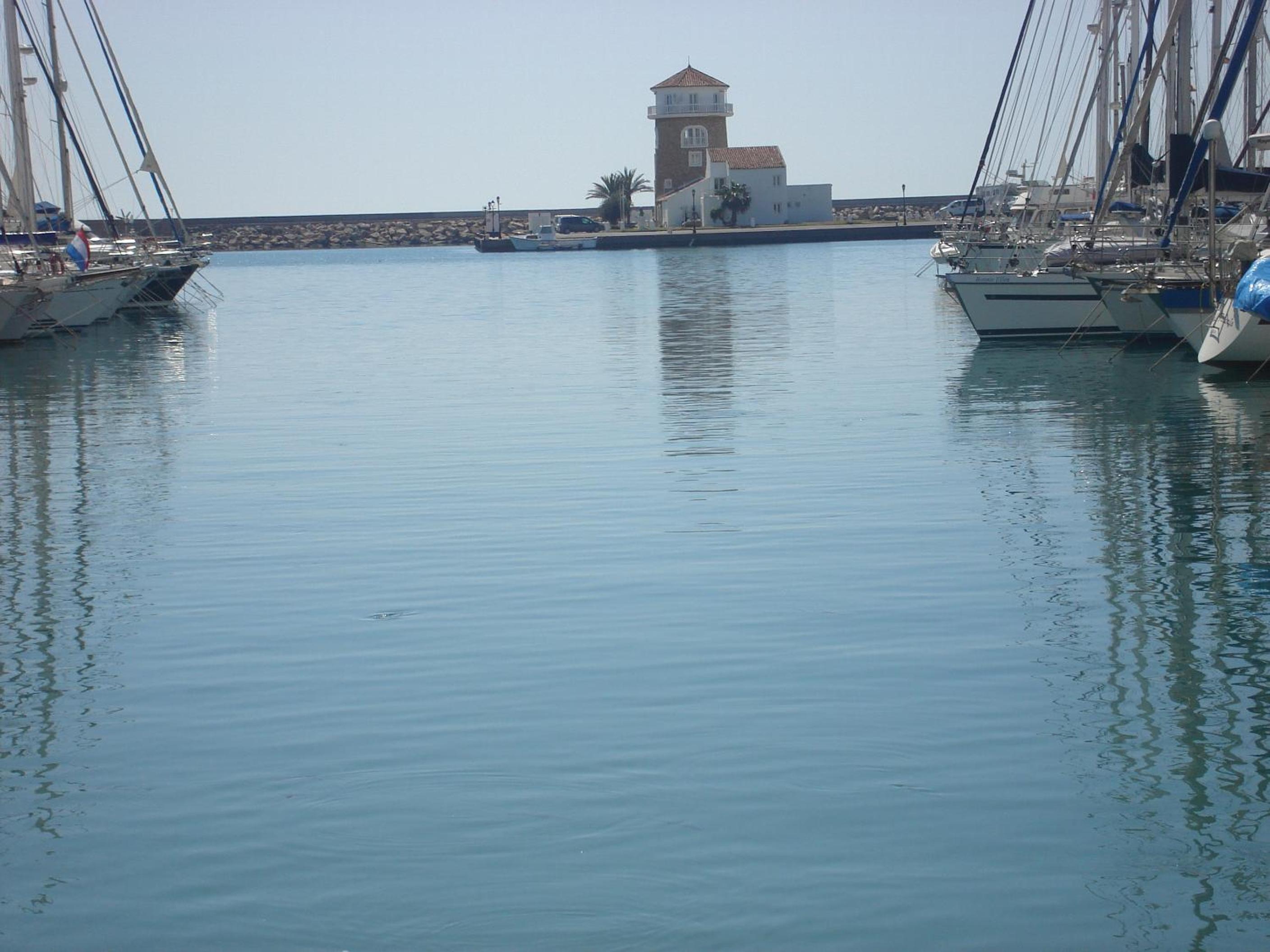 Photo 51