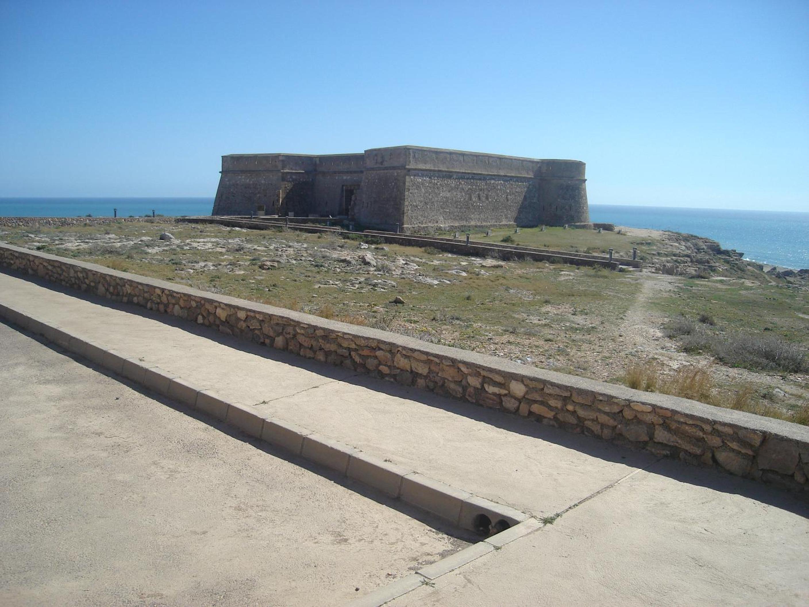 Photo 45