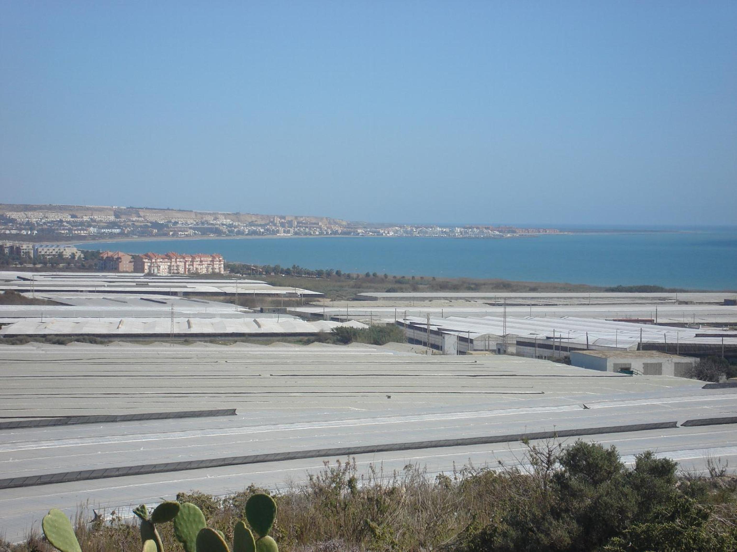 Photo 48