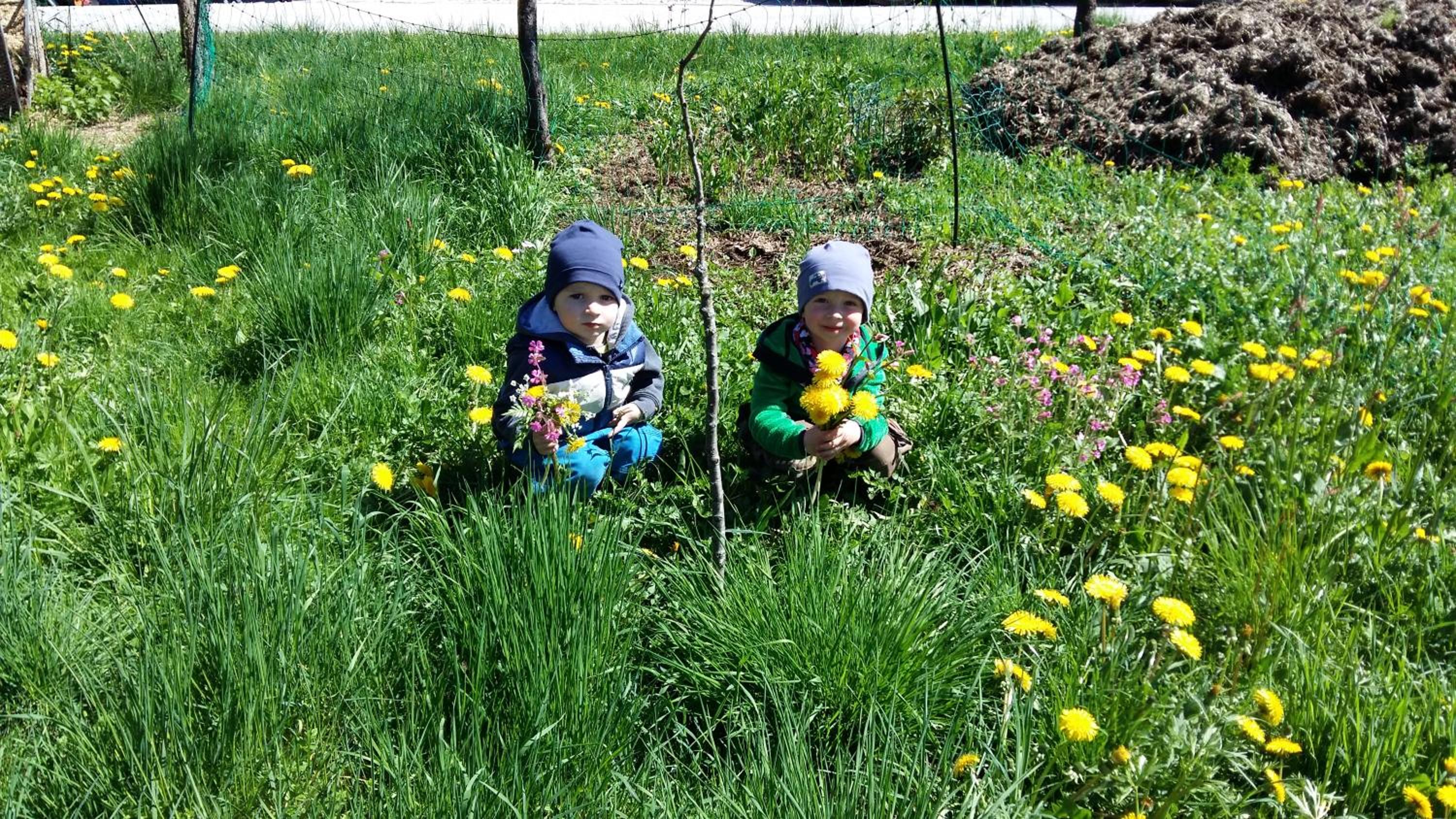 Weinbachbauer - Urlaub am Bauernhof