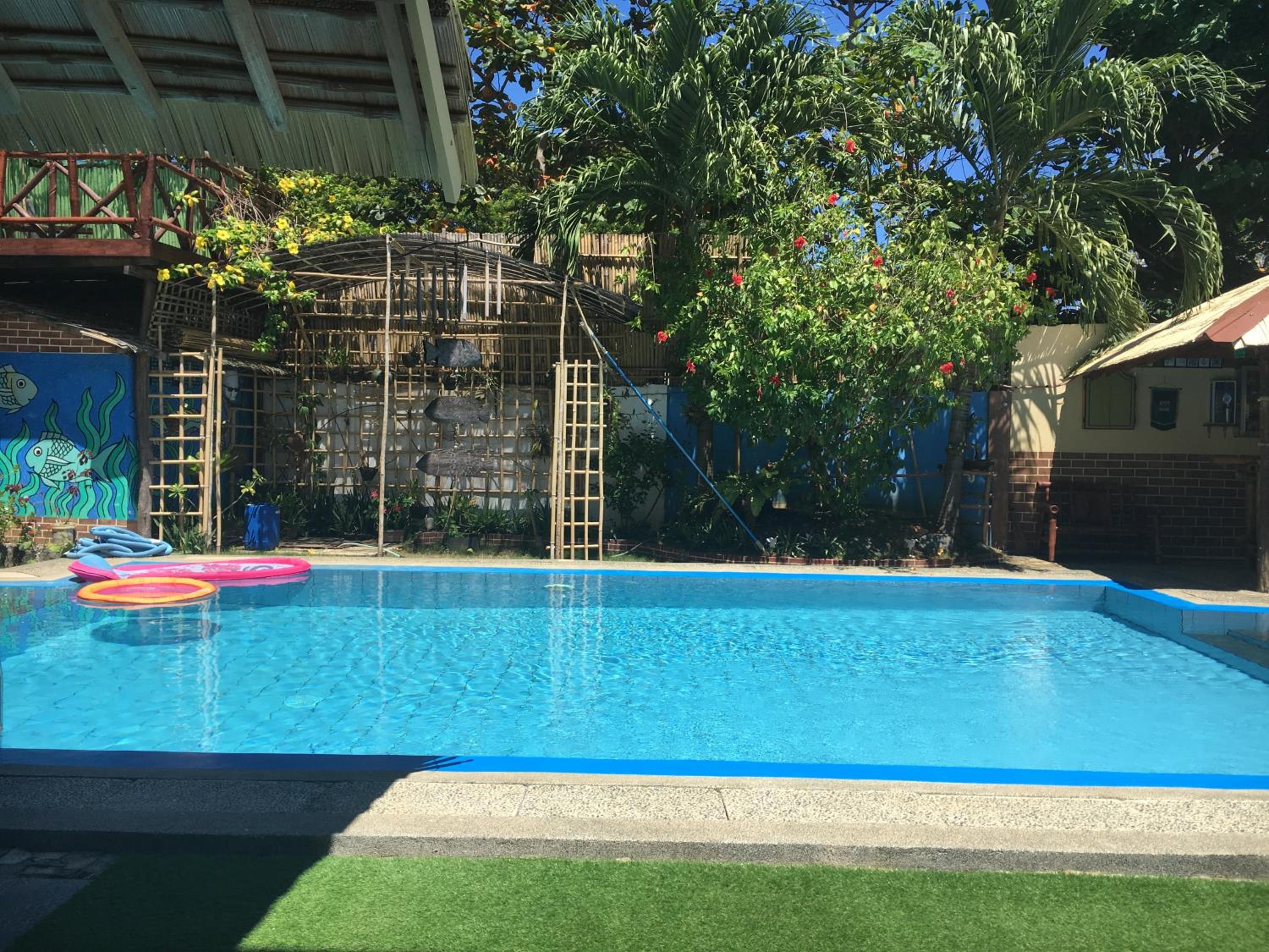 Lala Panzi Bed and Breakfast