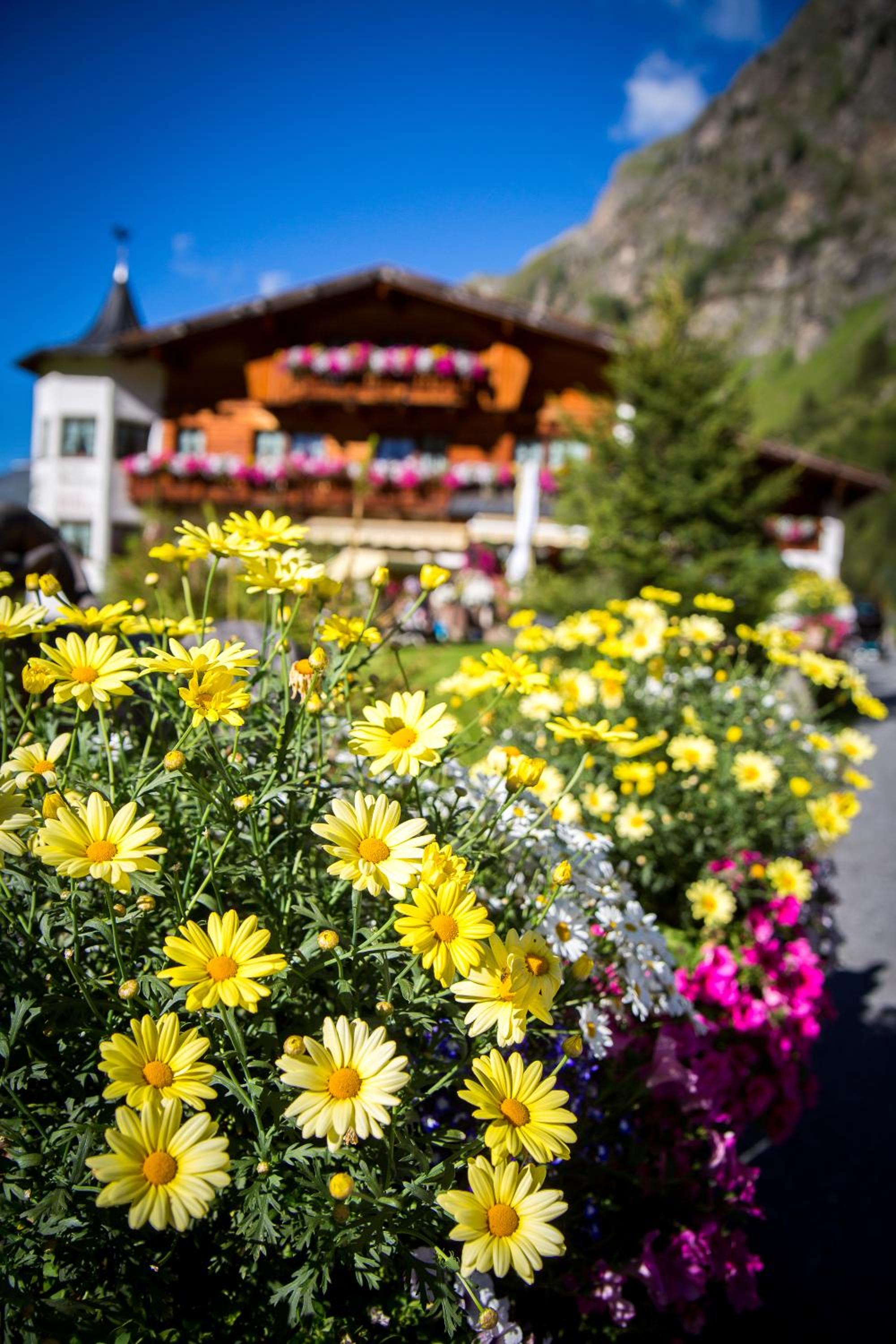 Almhof-Reithof Pitztal