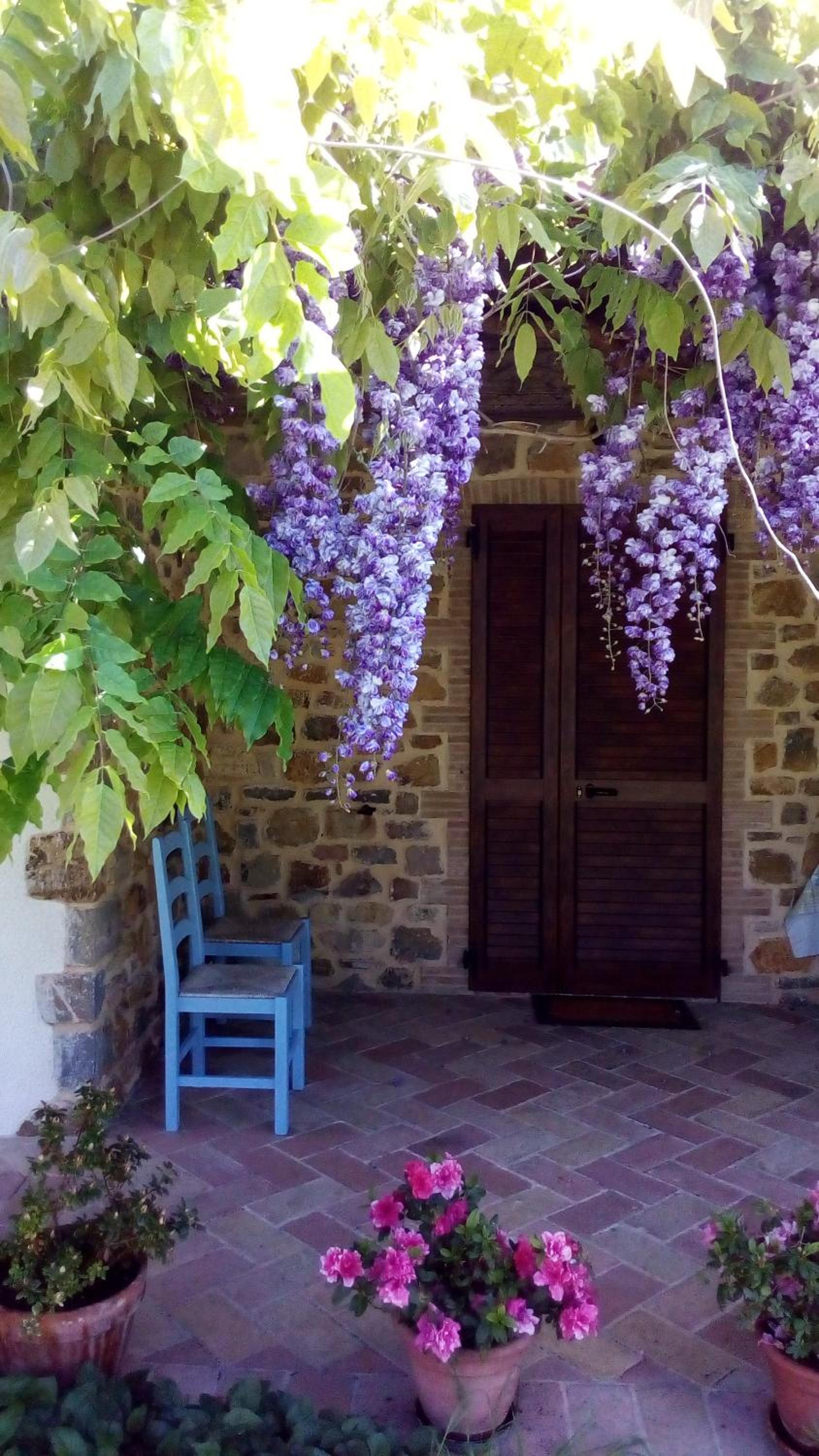 Agriturismo La Chiocciola view 2