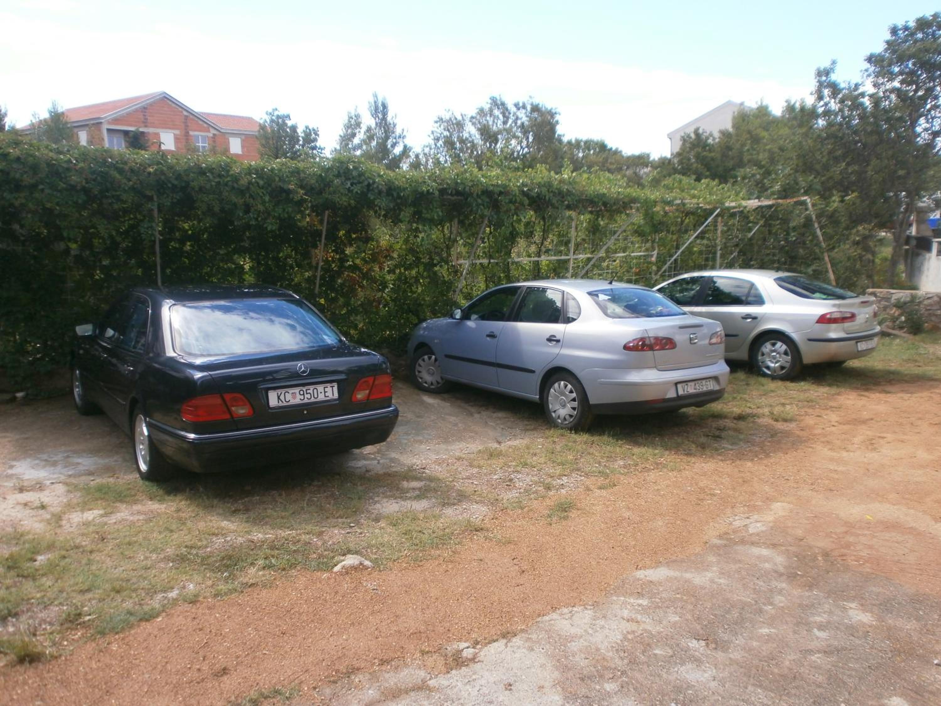 Photo 35