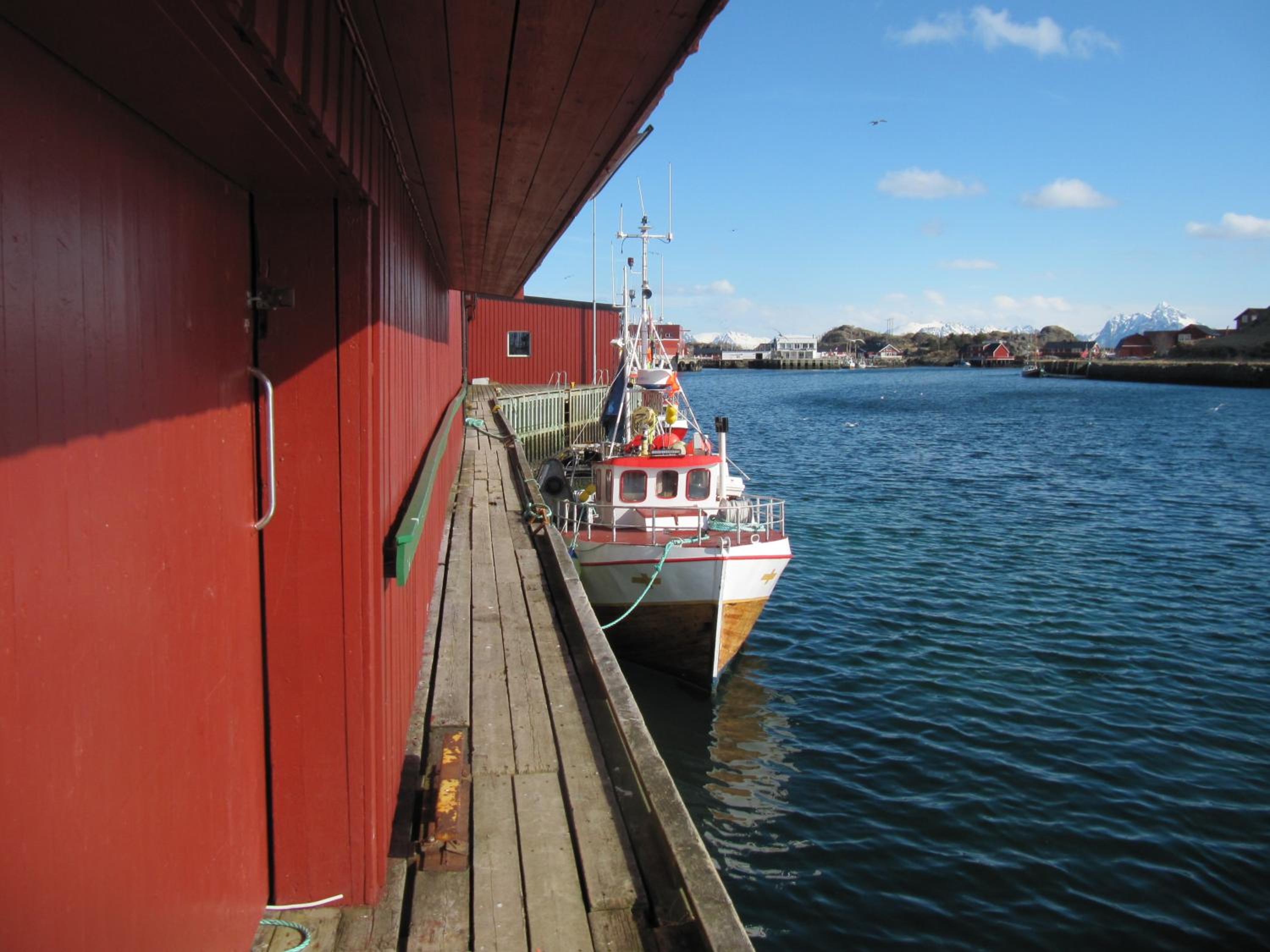 Photo 14