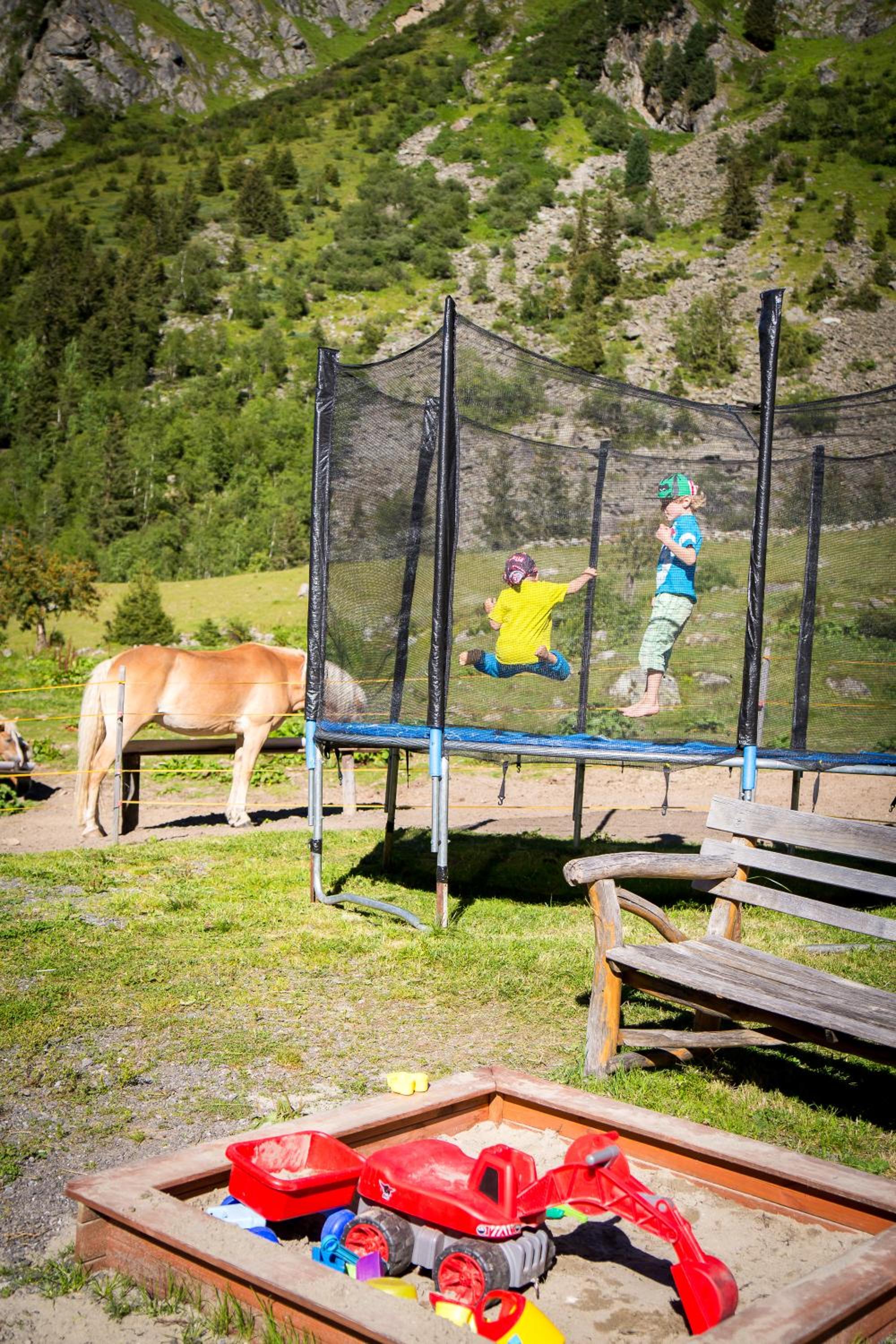 Almhof-Reithof Pitztal