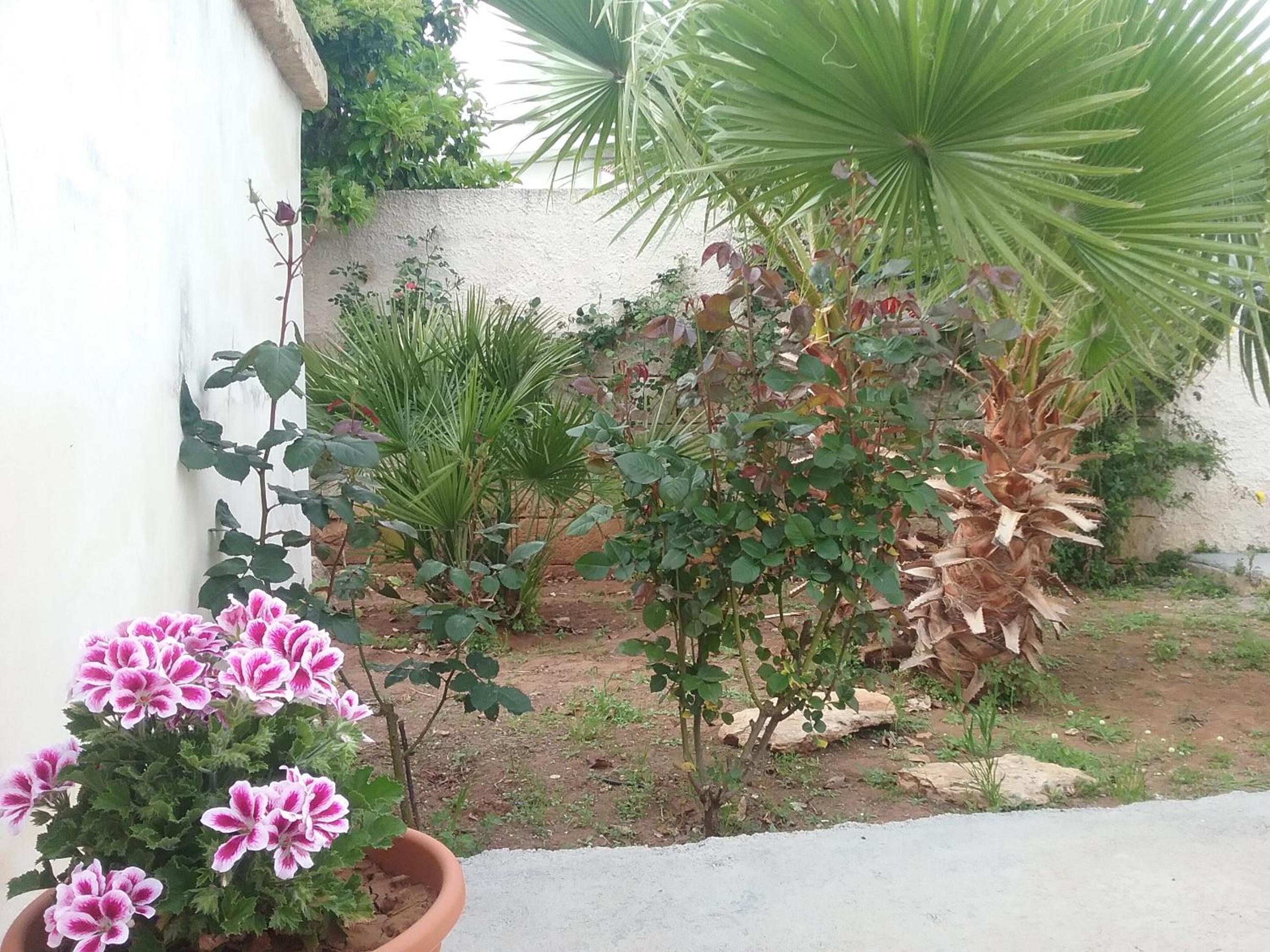 LI CURTI B&B, photo 86