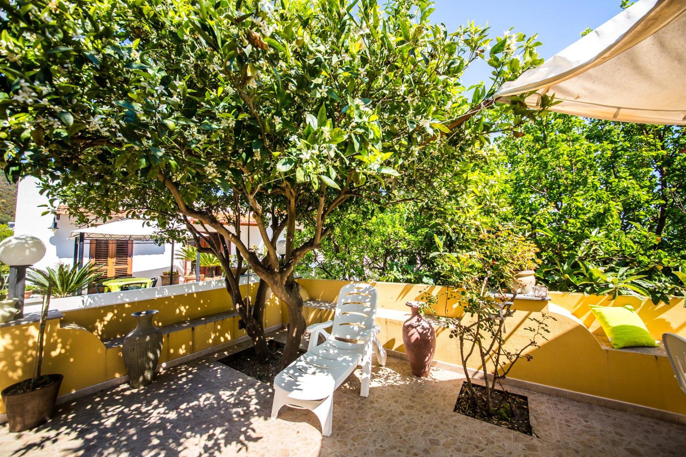 Casa Papiro