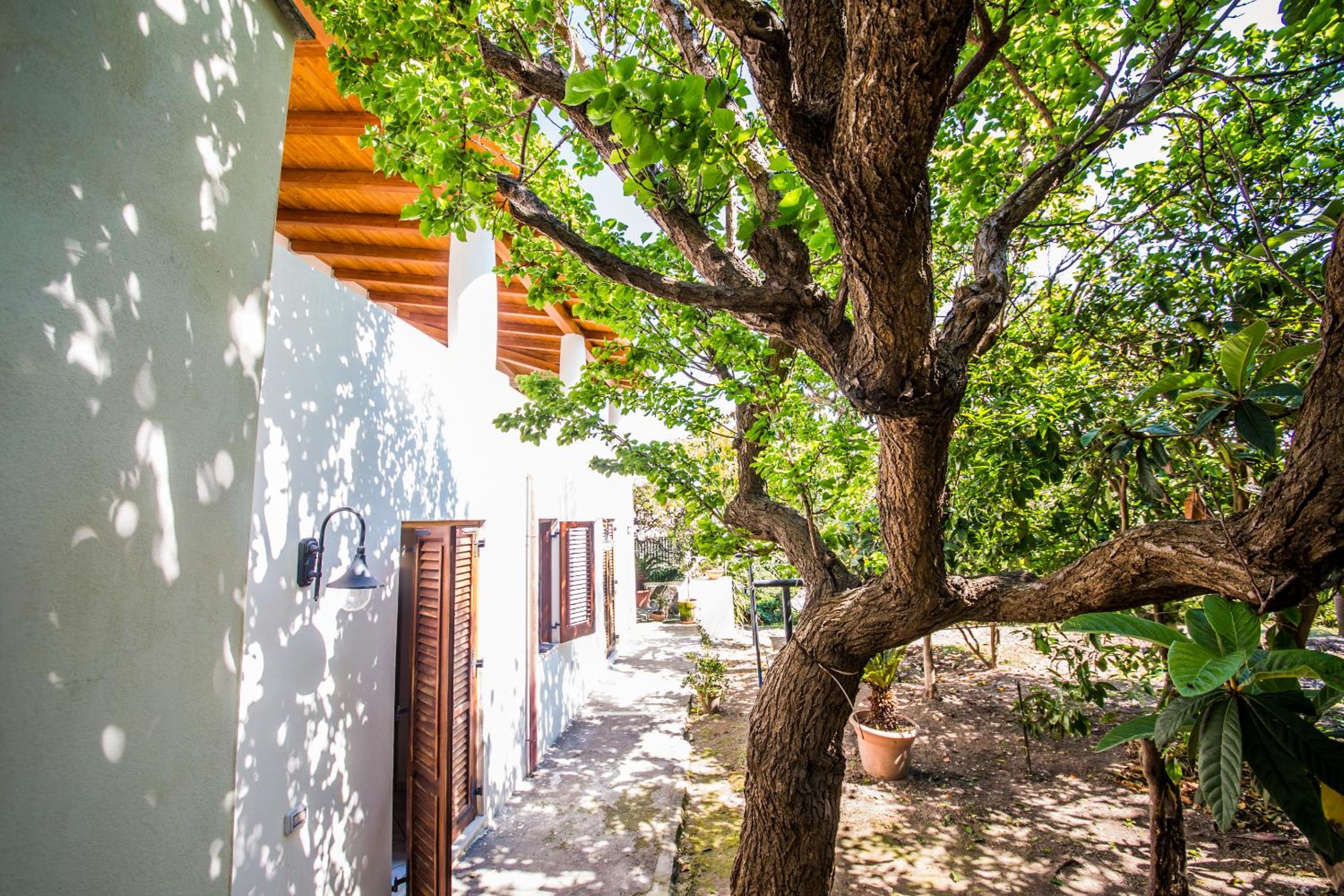 Casa Papiro