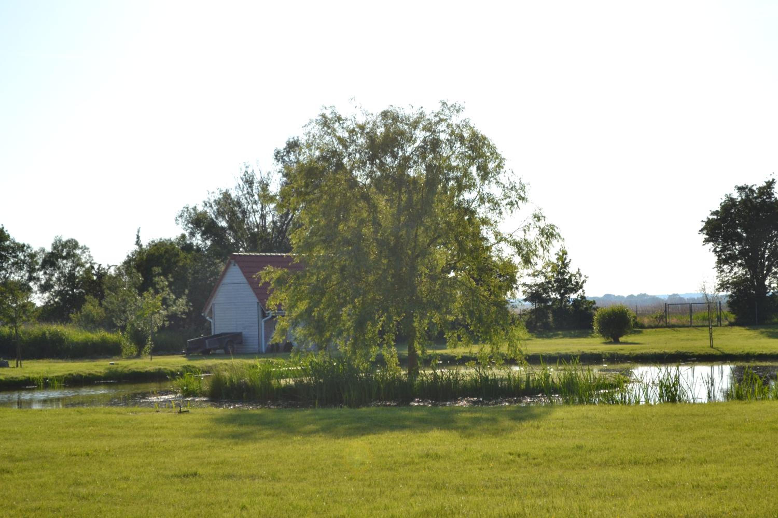 Photo 40