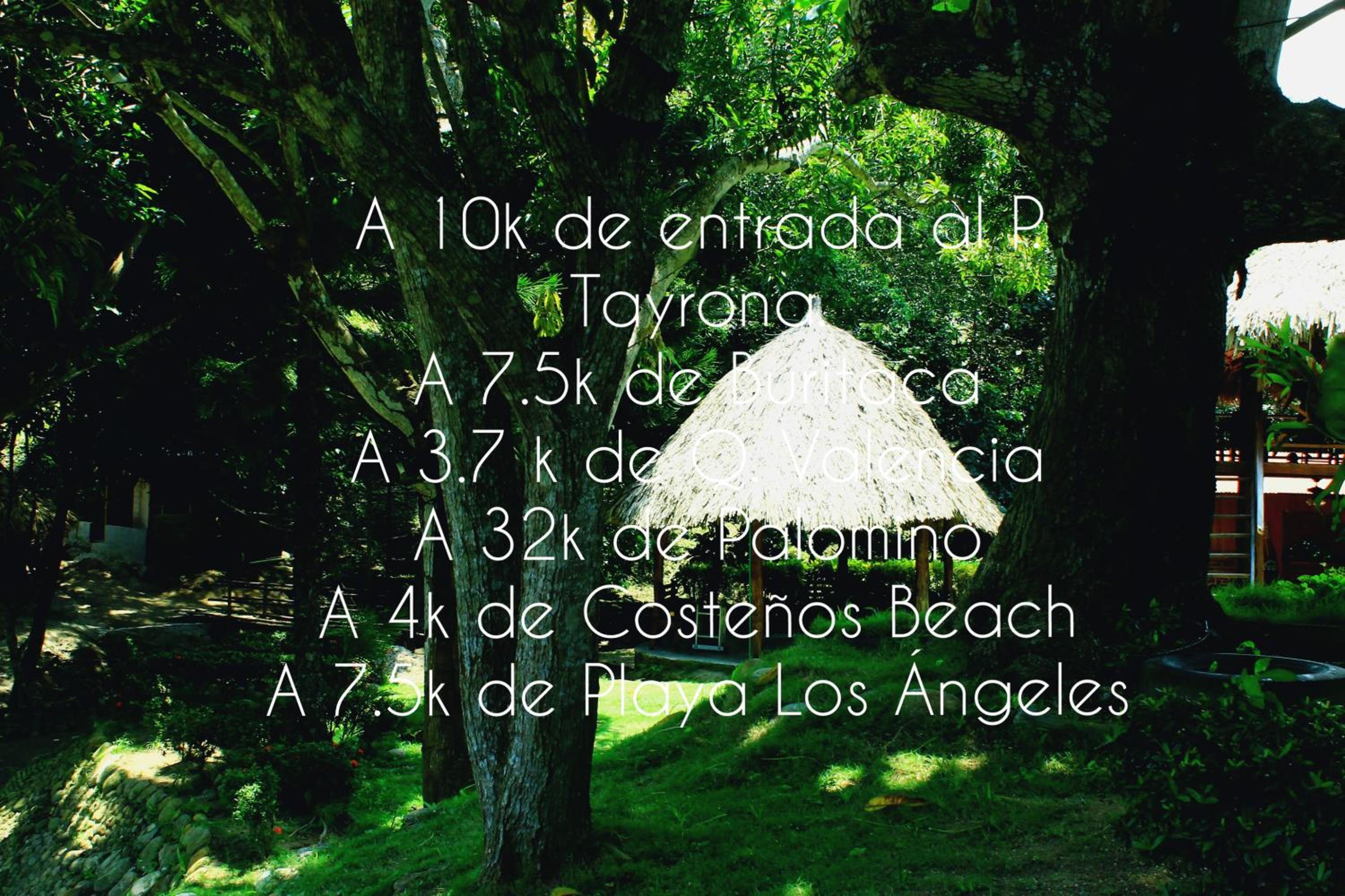EcoHostal Palmares Del Rio