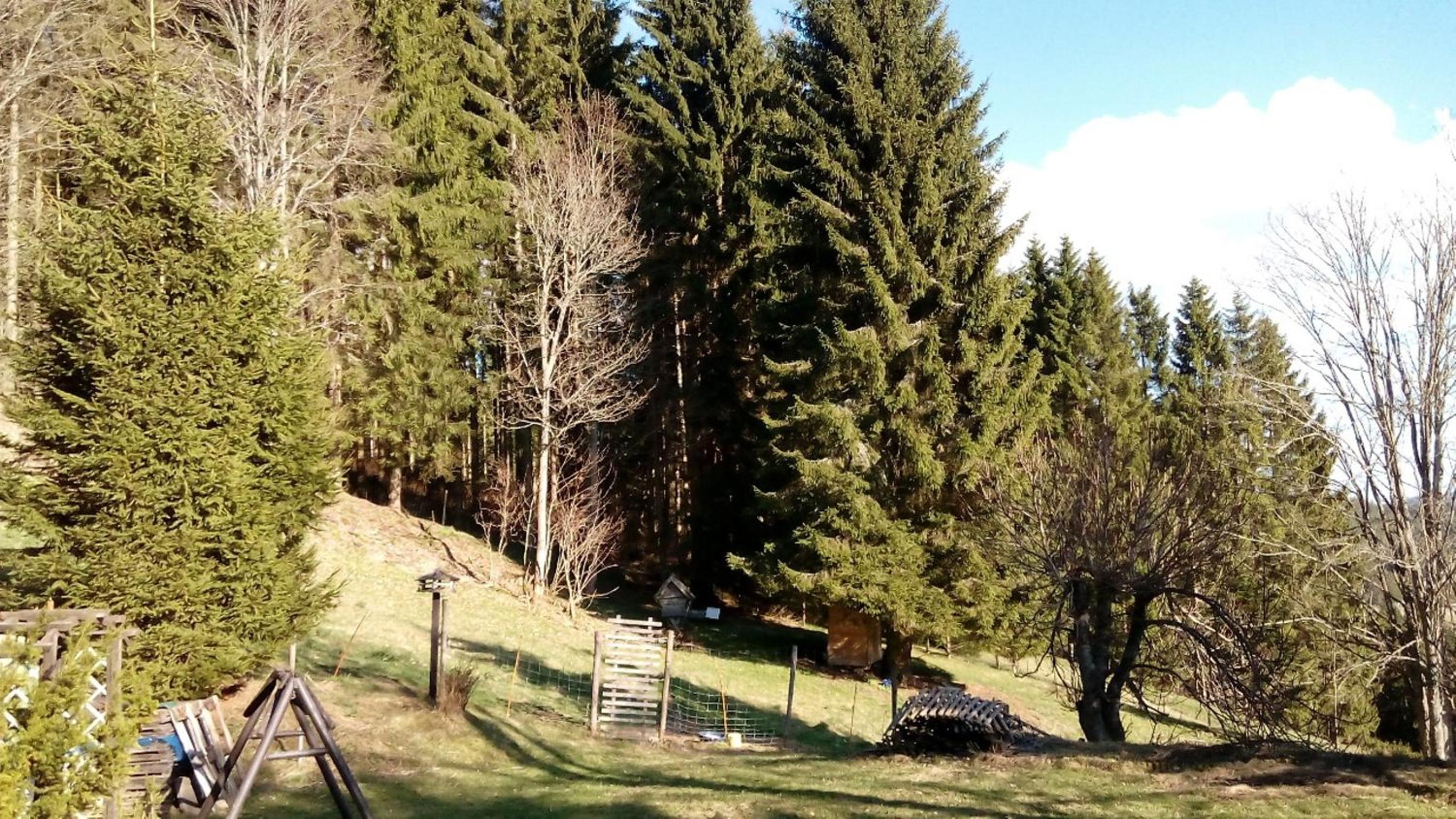 Gästehaus Fridolin