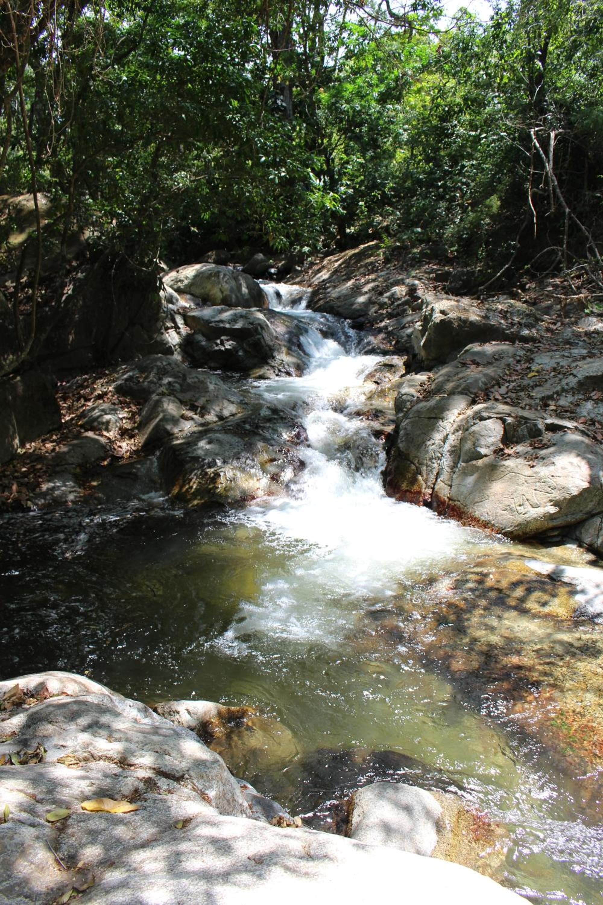 Reserva Biologica Caoba