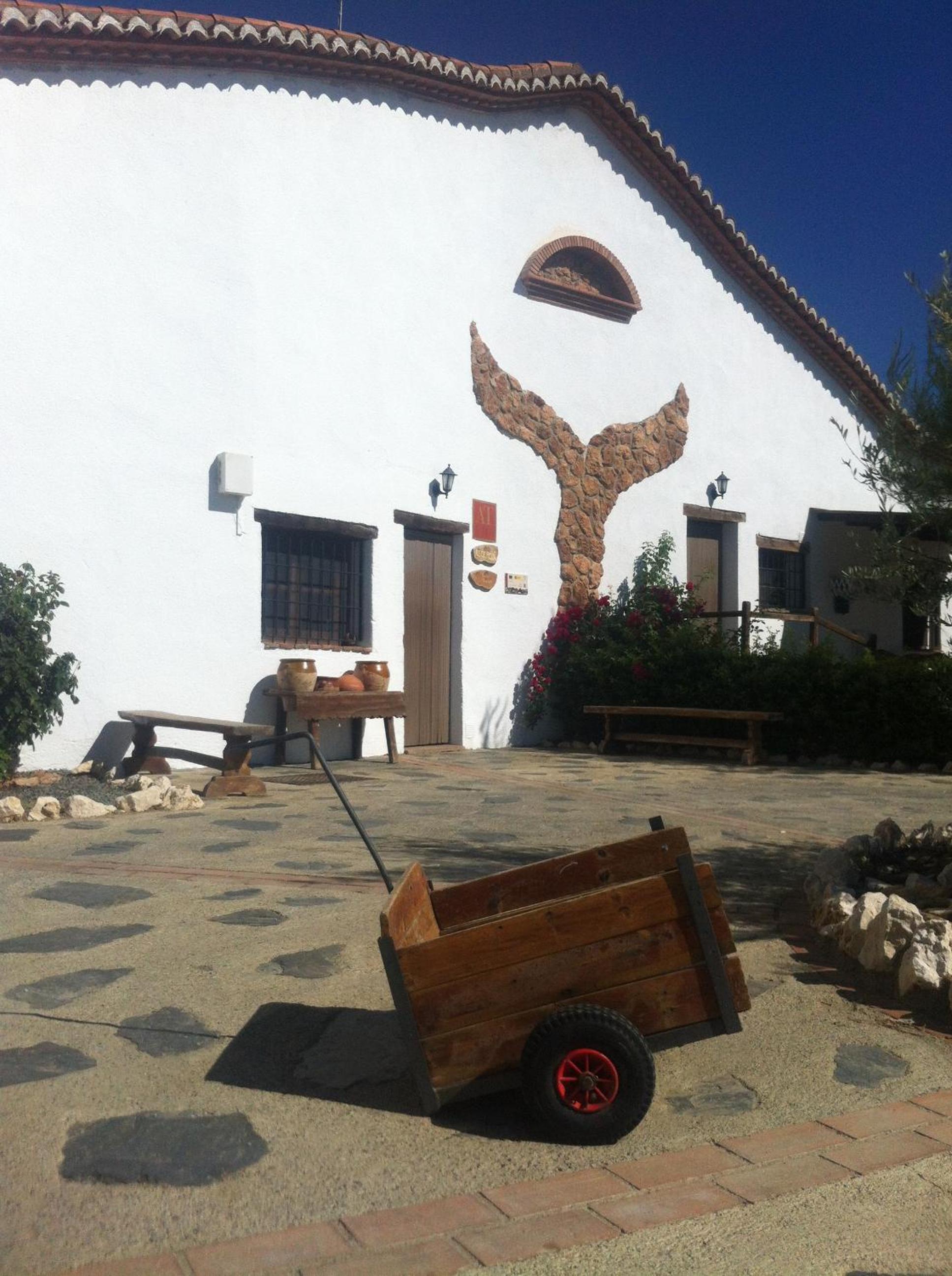 Cuevas Hammam Abuelo Jose