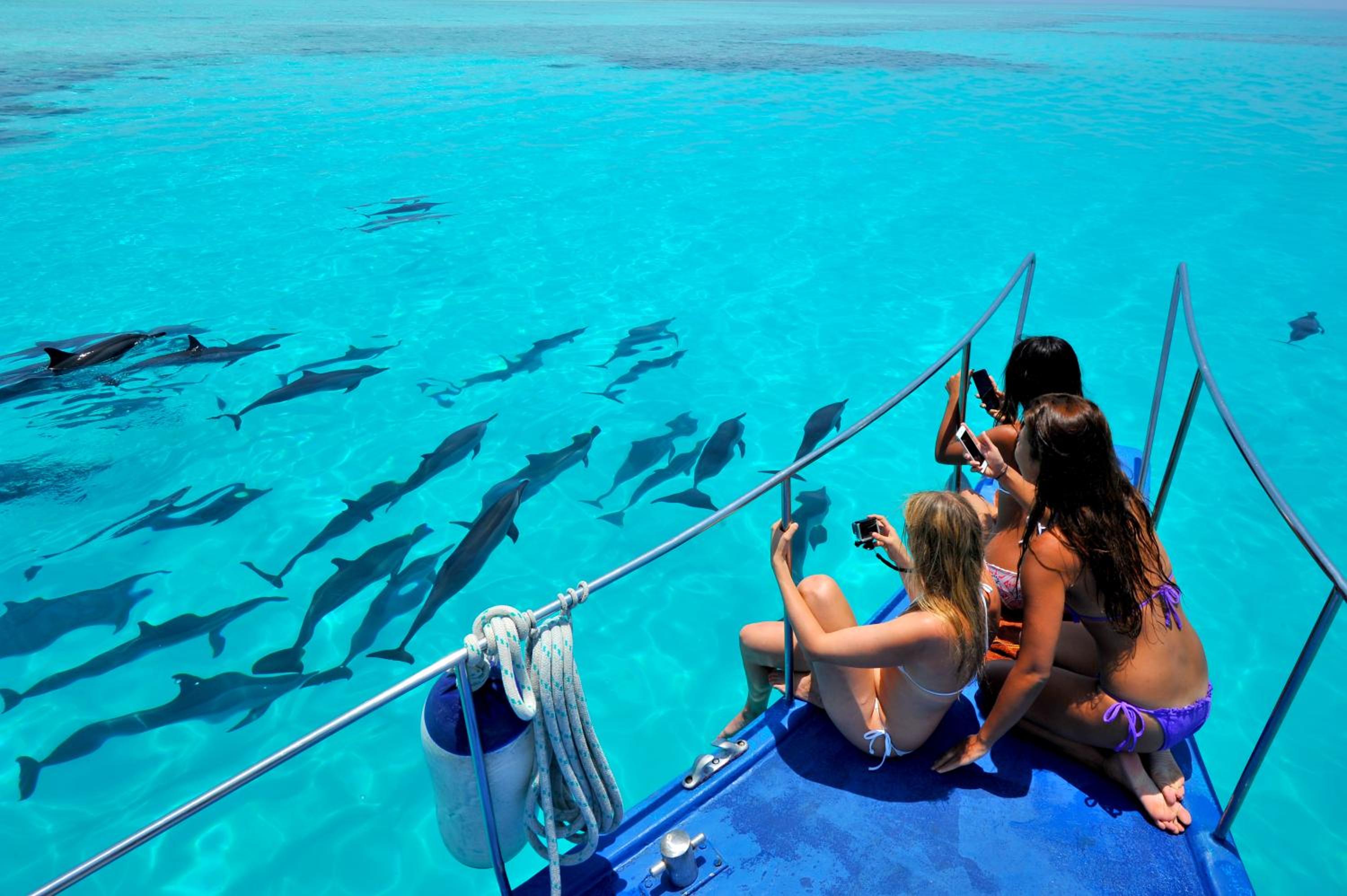 Triton Beach Hotel & Spa photo 4