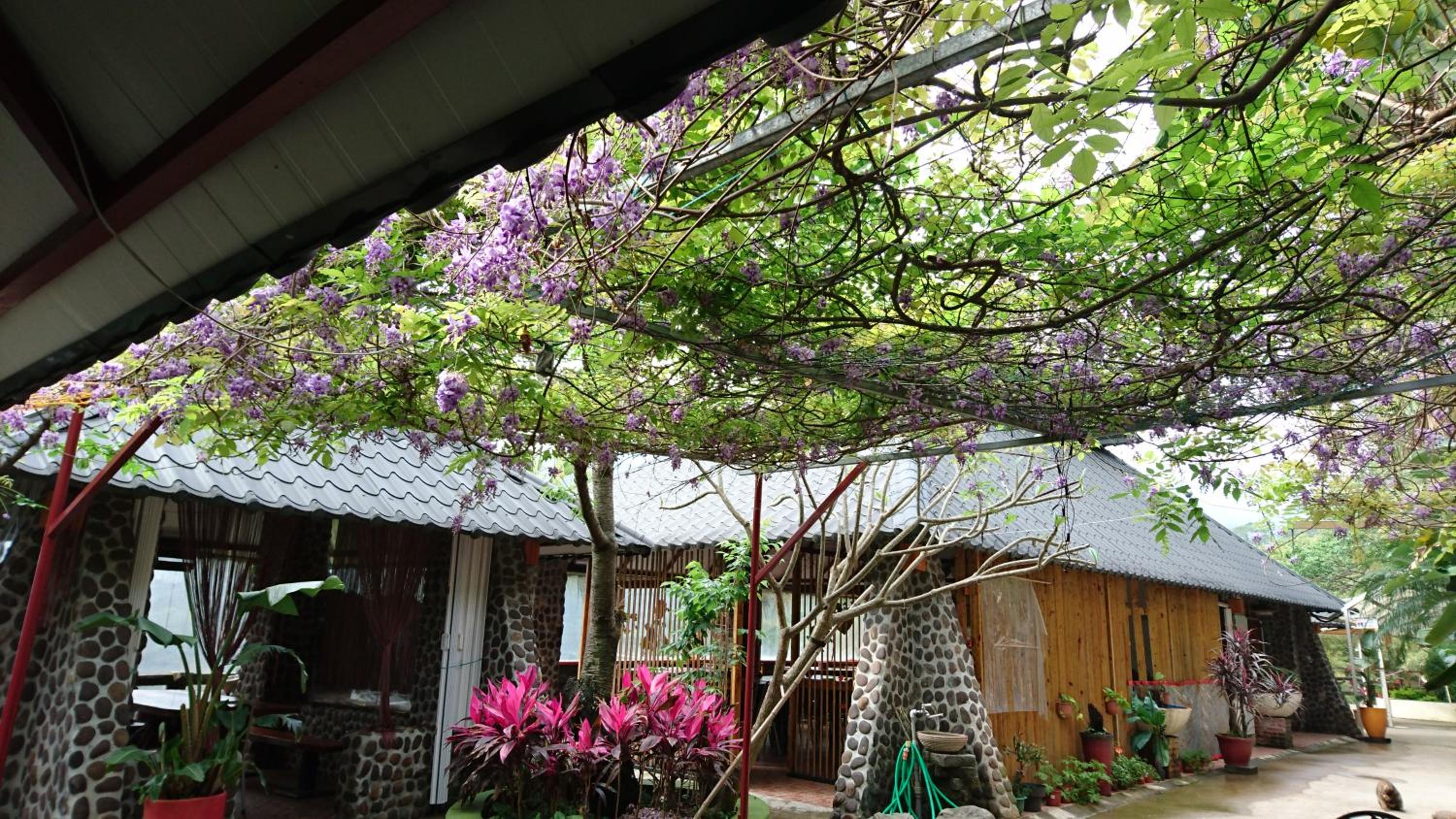 In Bali Inn