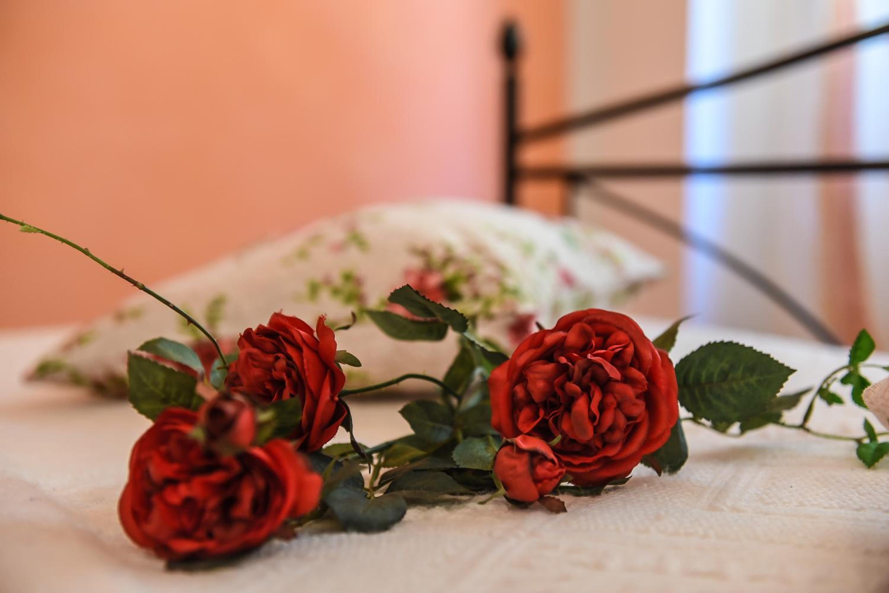 B&B Villa Sophie