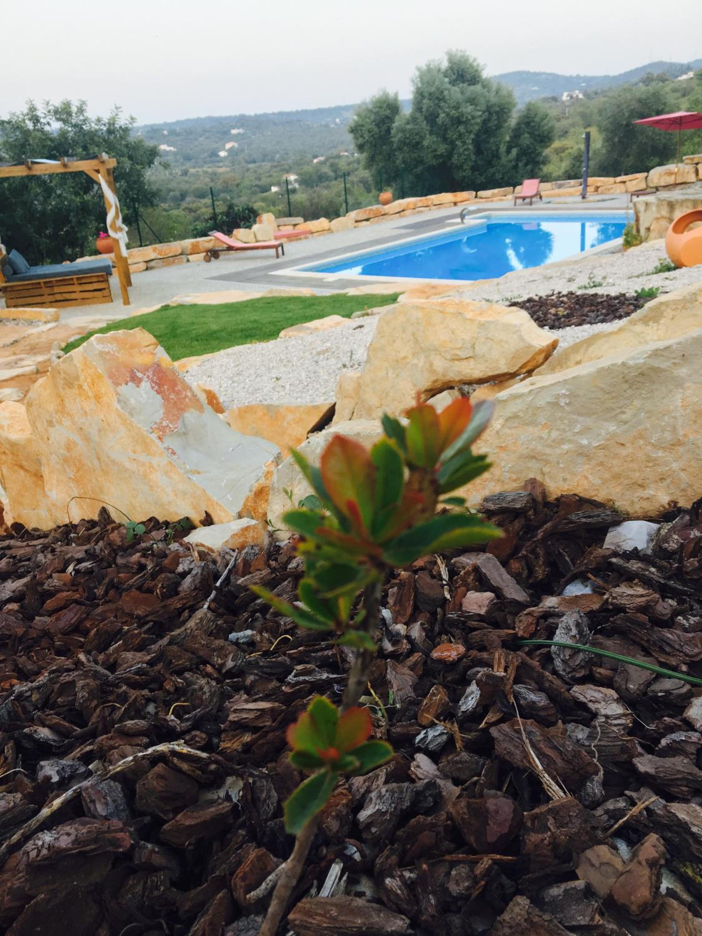 Villa Monte da Alfarrobeira view 4