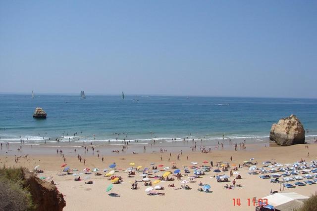 Rocha Prime Residence