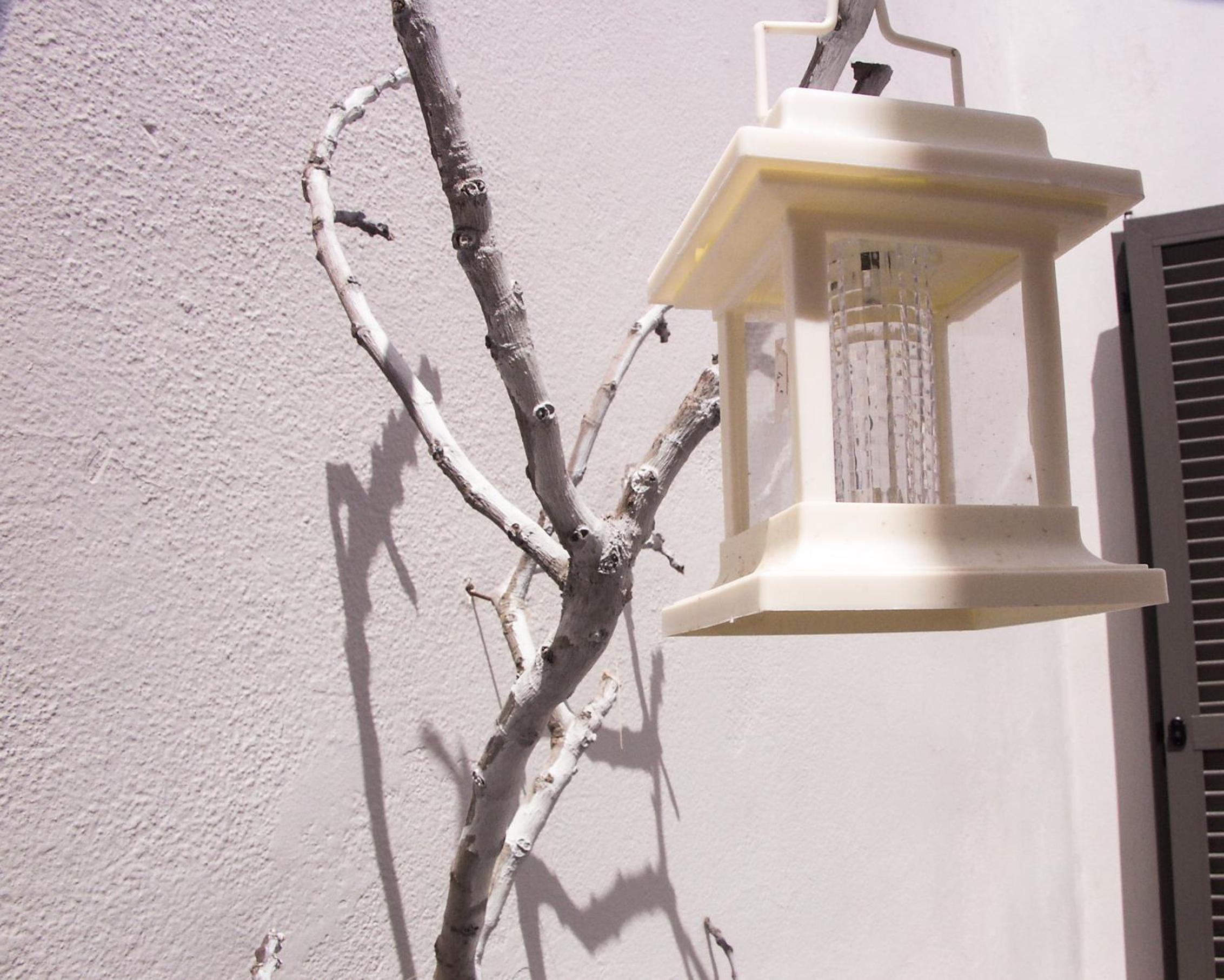 Naxos Petite Studios