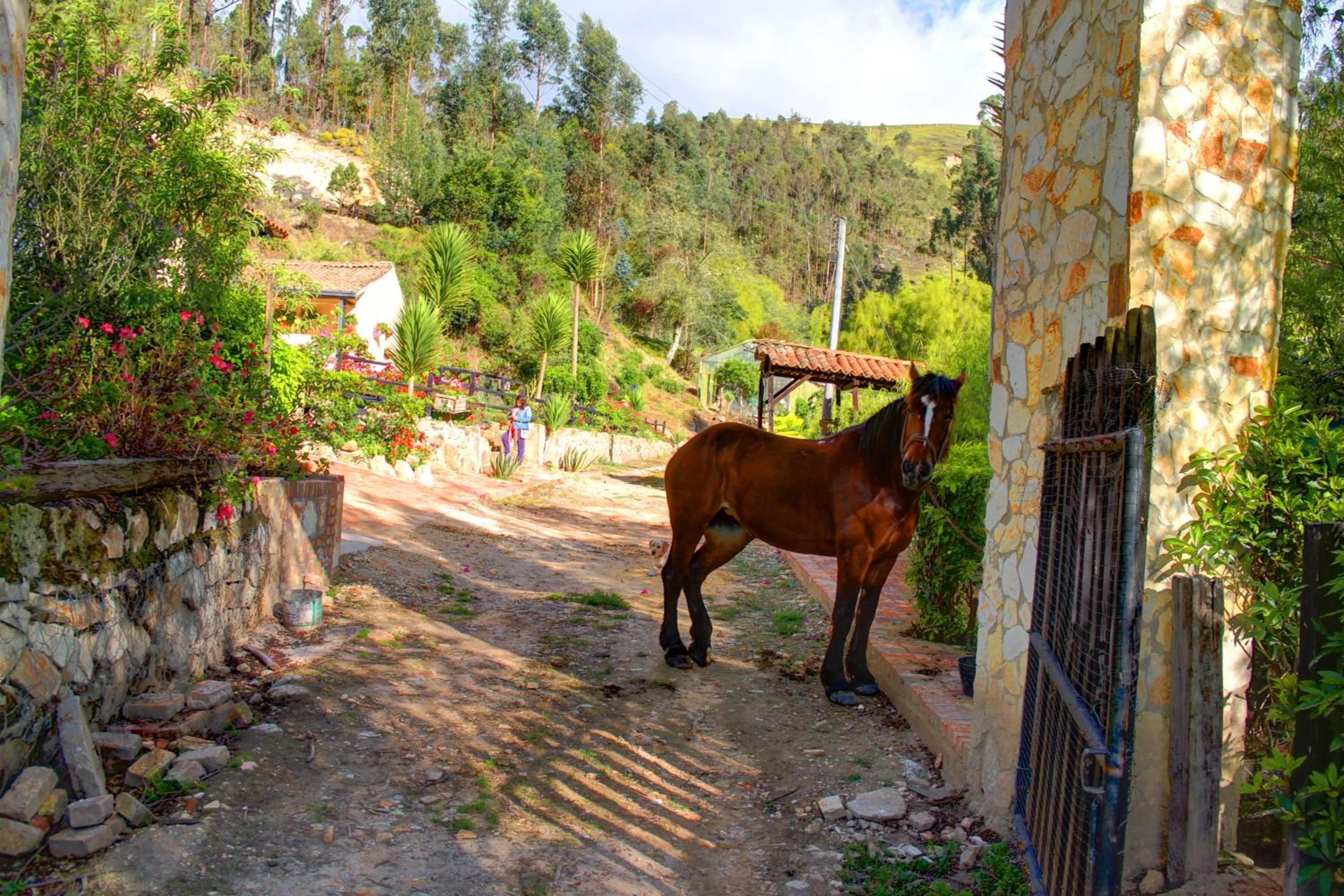 Finca La Tobita Eco Hotel