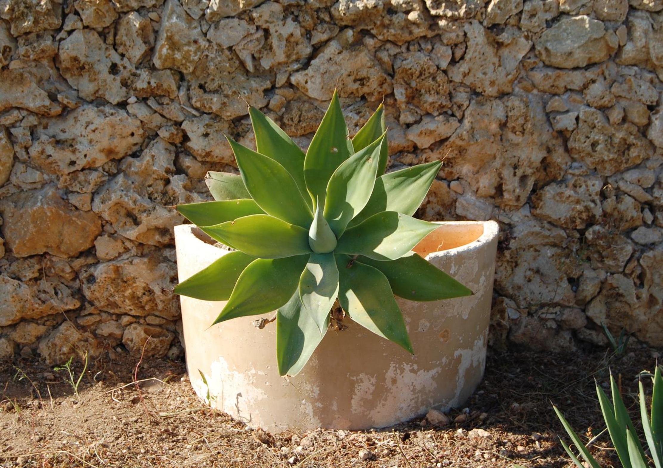 Photo 43