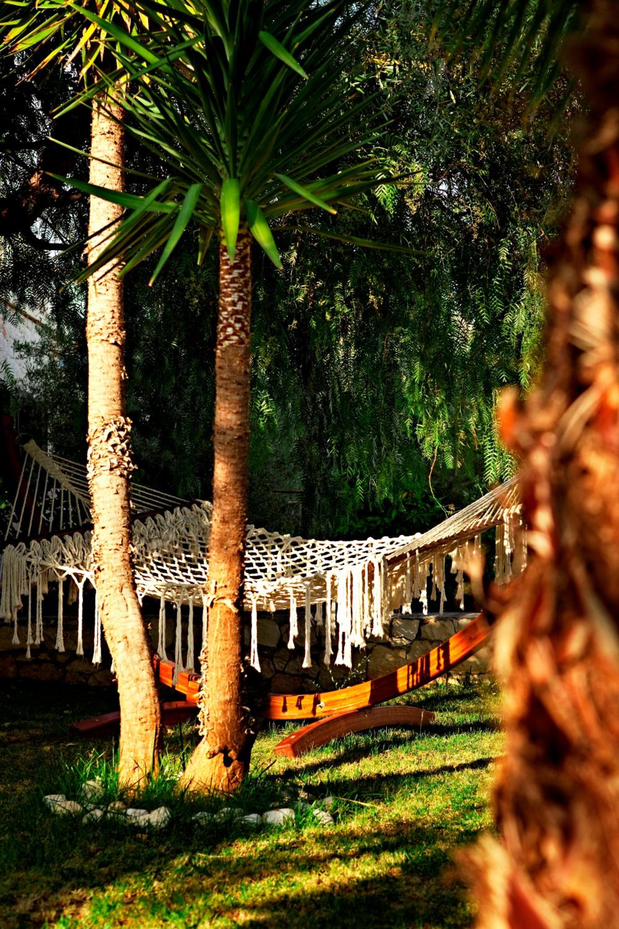 Olea Nova Hotel - Image 179