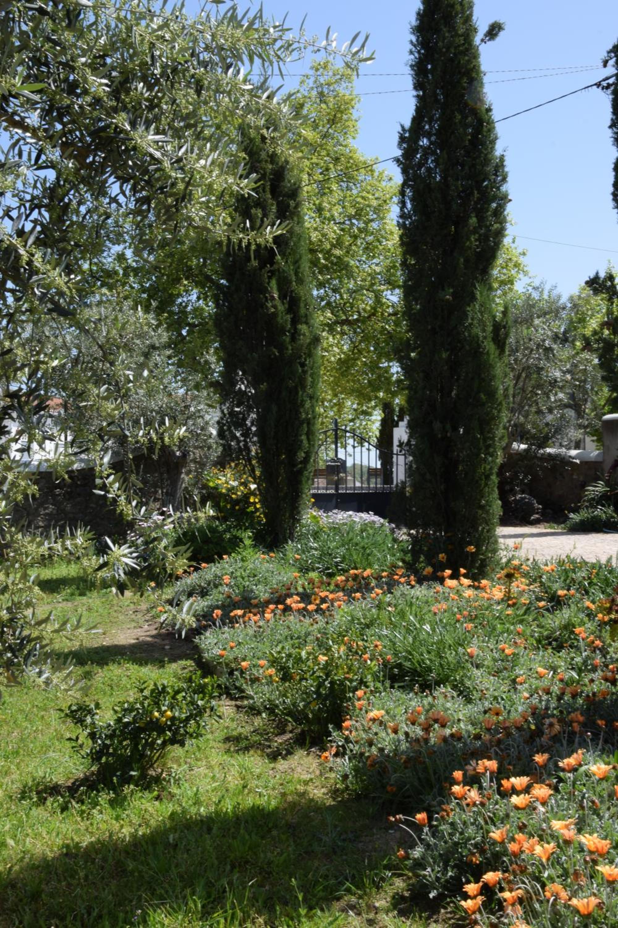 Casa da Paleta