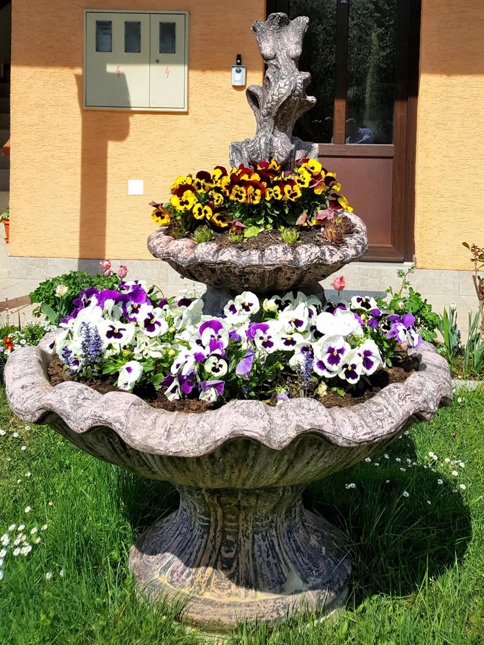 Photo 37