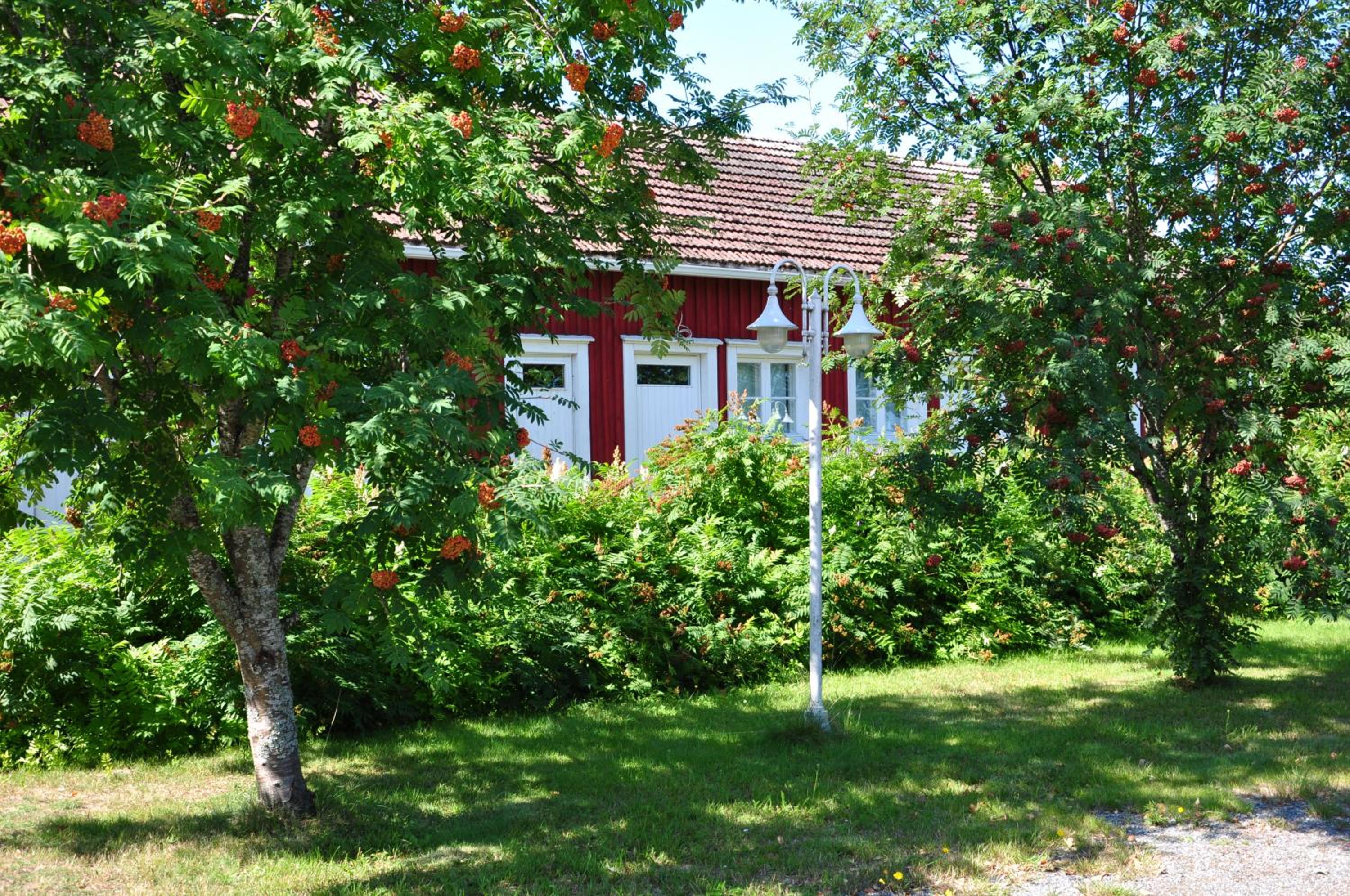 Opintola Bed & Breakfast
