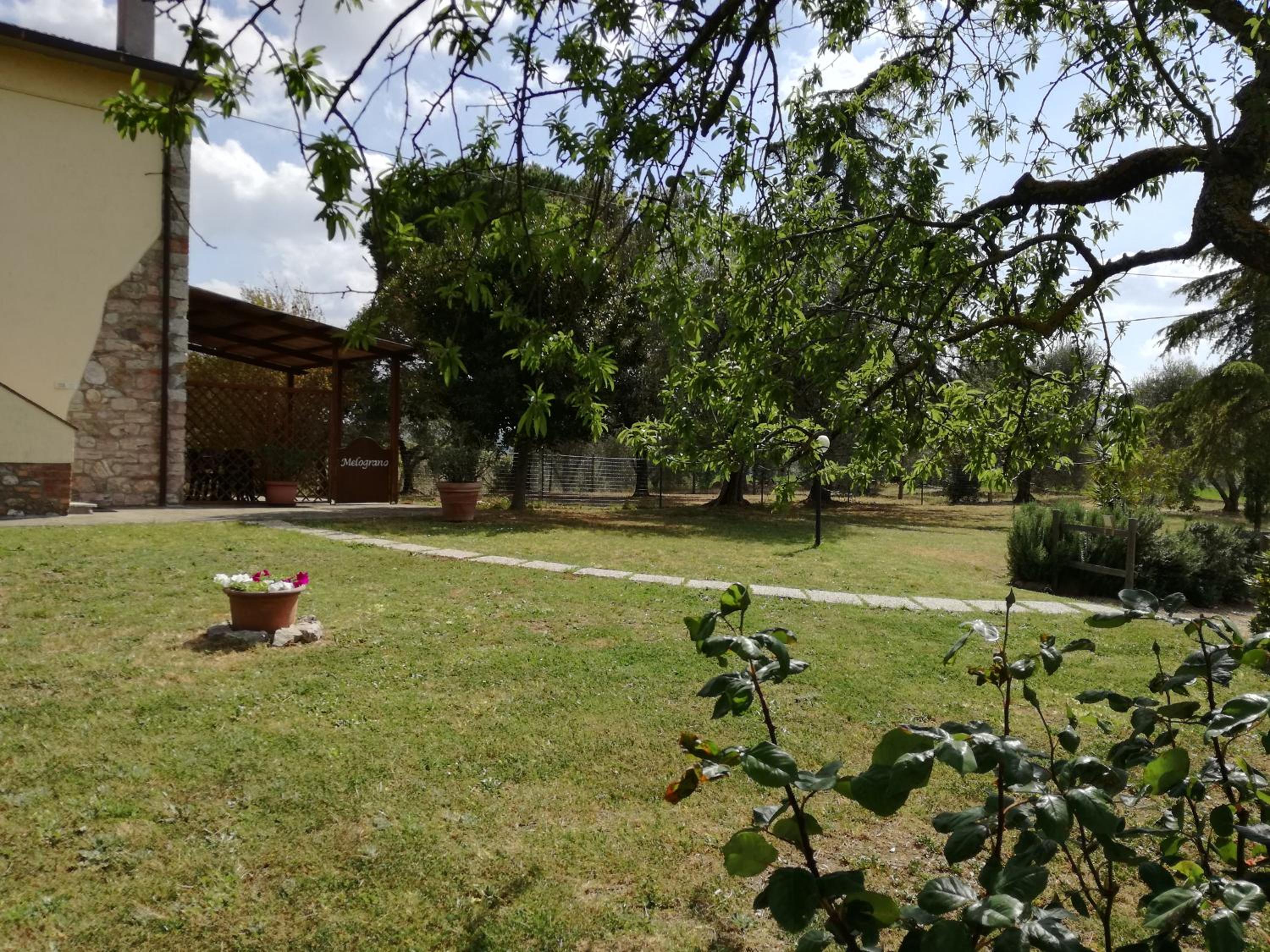 Agriturismo Podere Selvette view 3