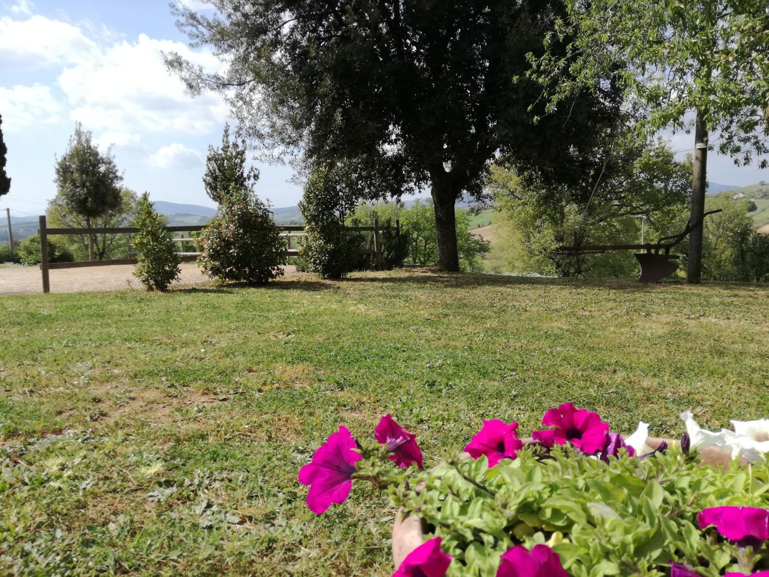 Agriturismo Podere Selvette view 2