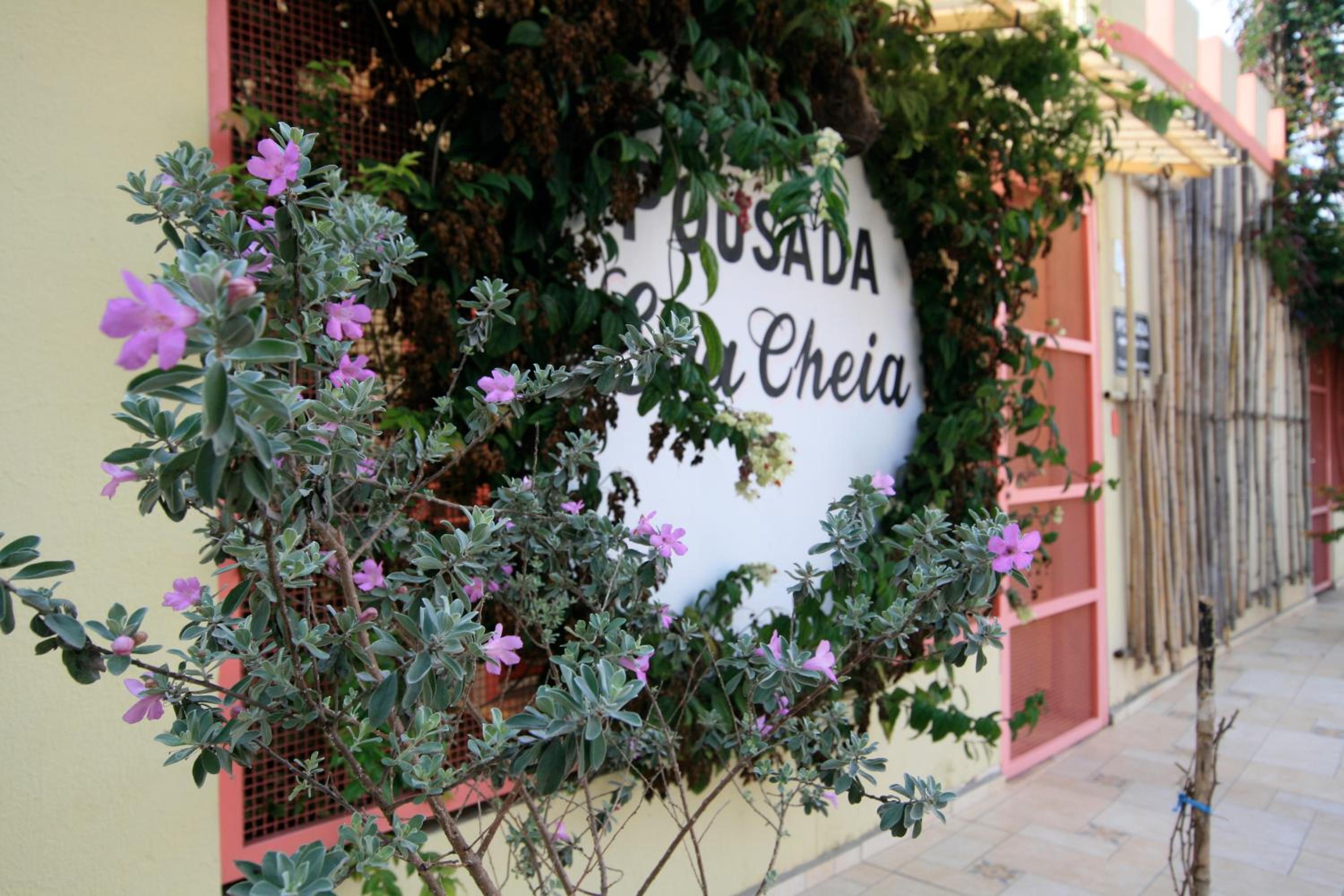 Pousada Lua Cheia, photo 66