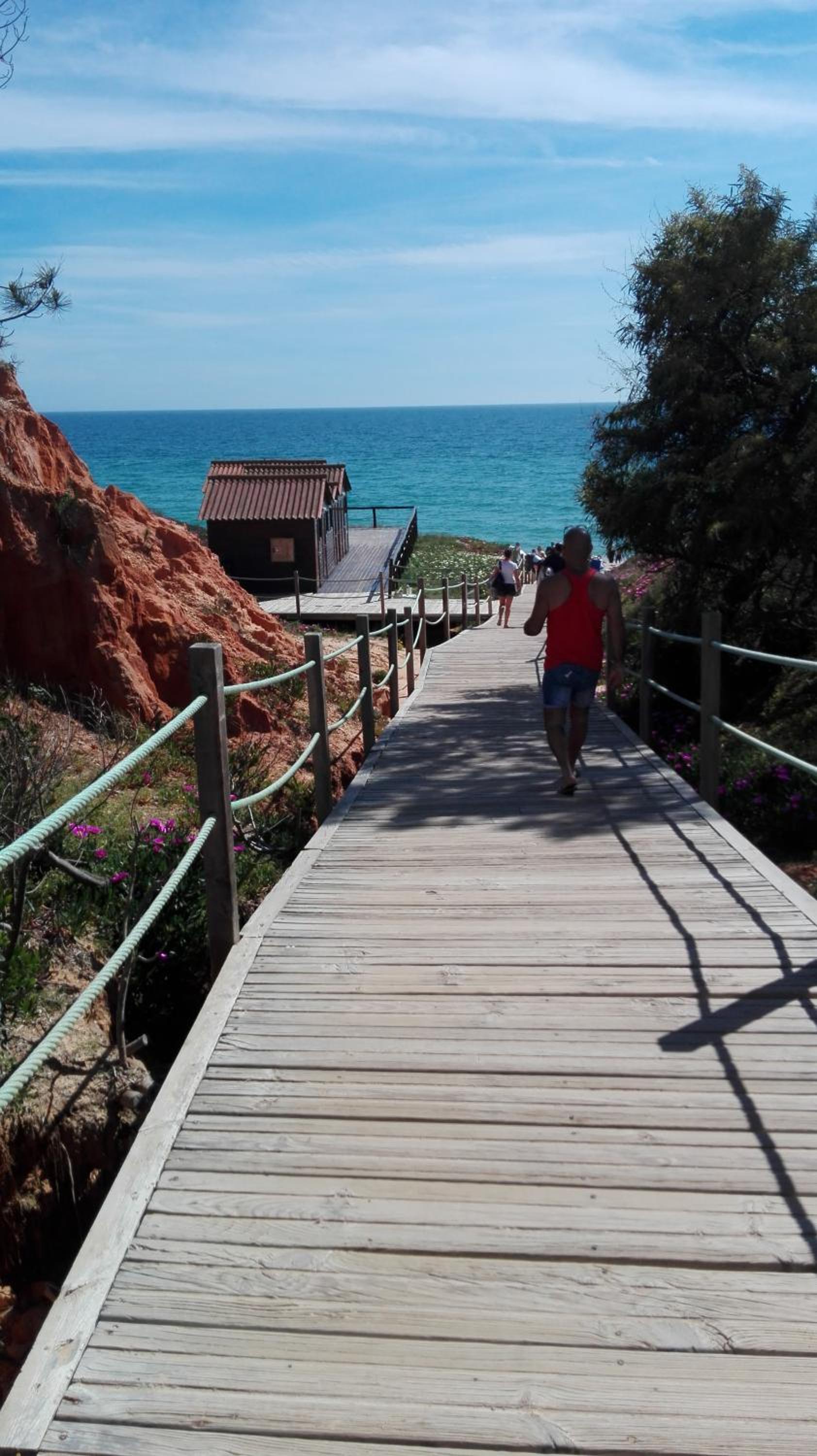 Beach Falésia Alfamar view 5