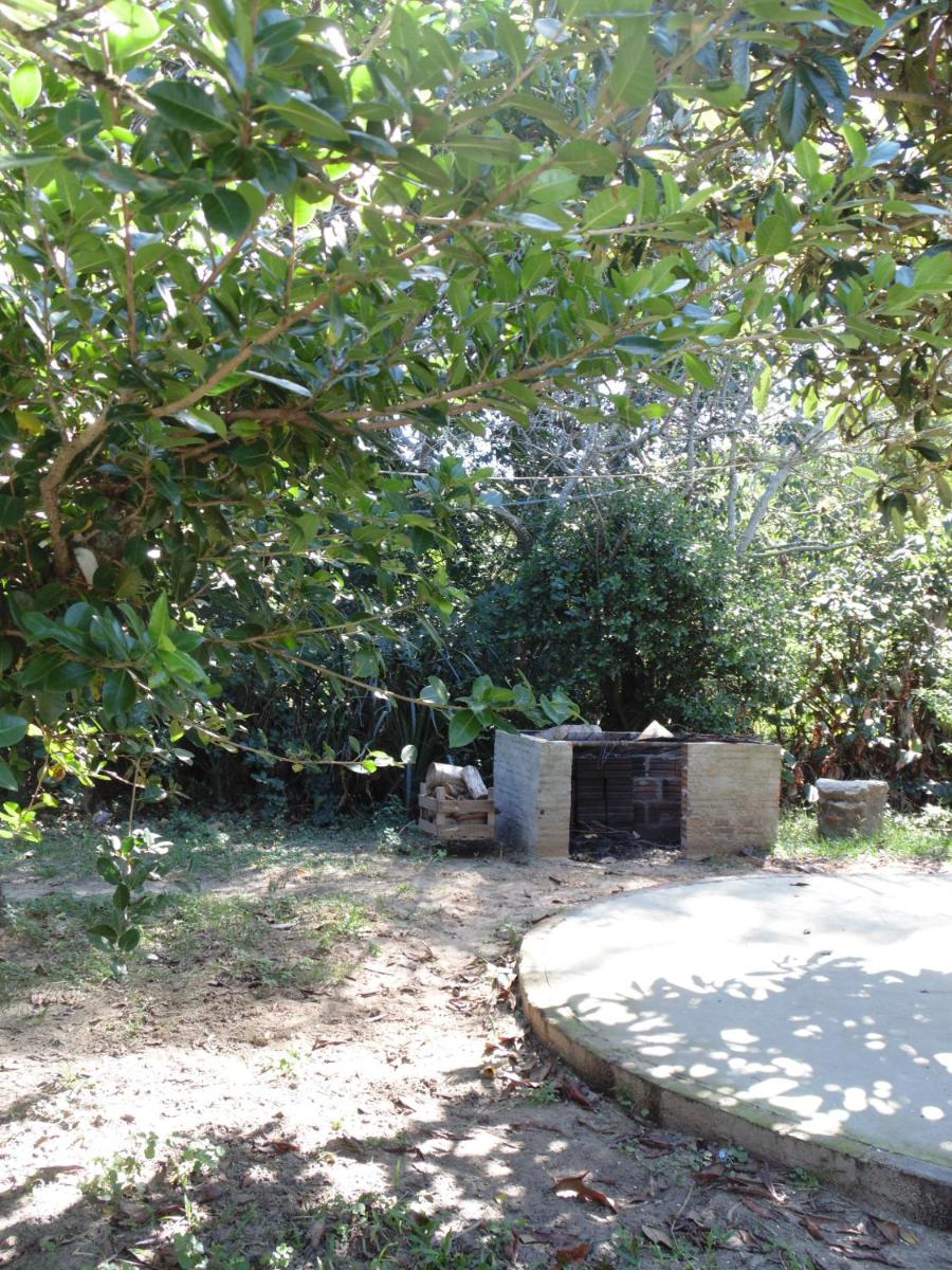 Photo 22