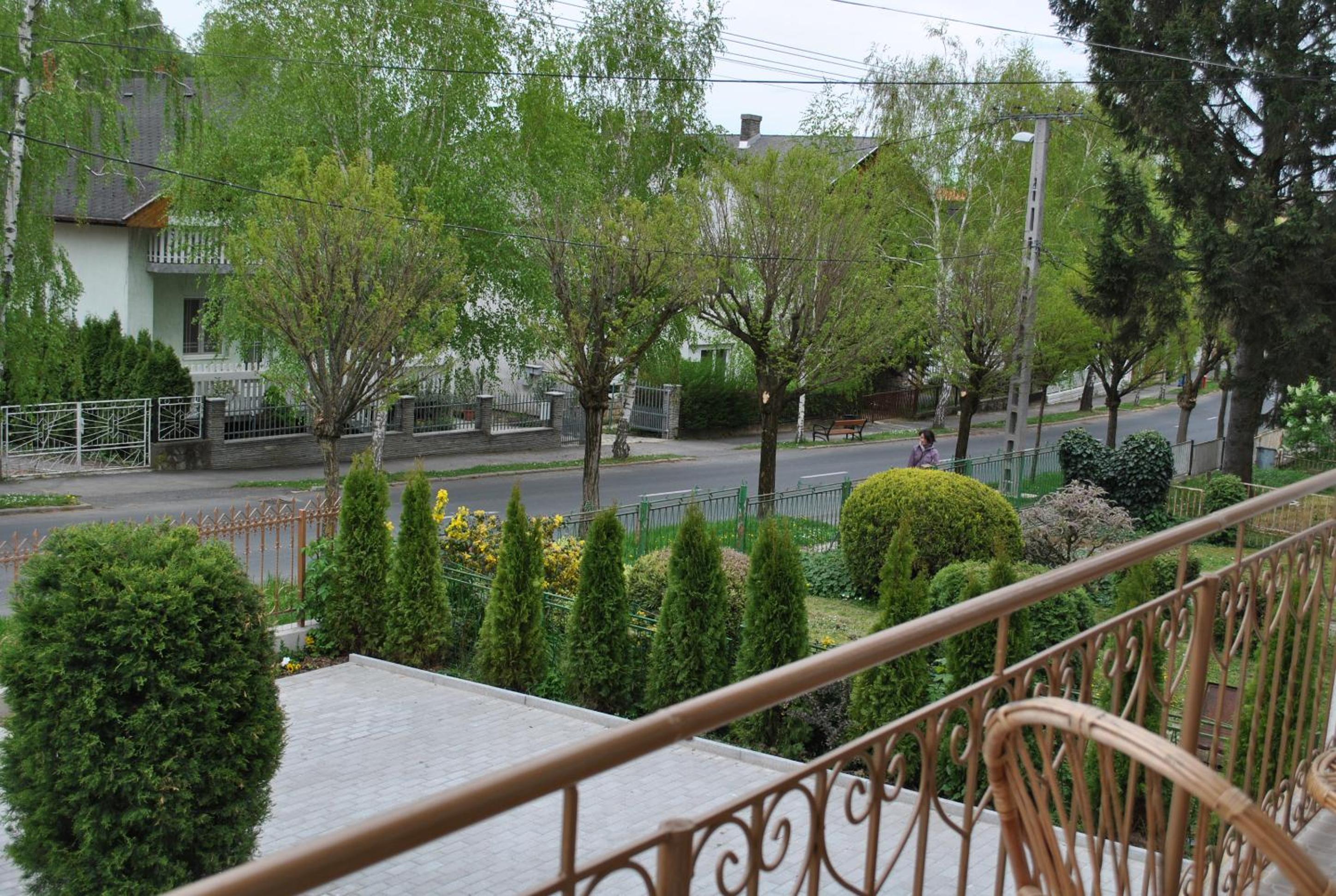Photo 45