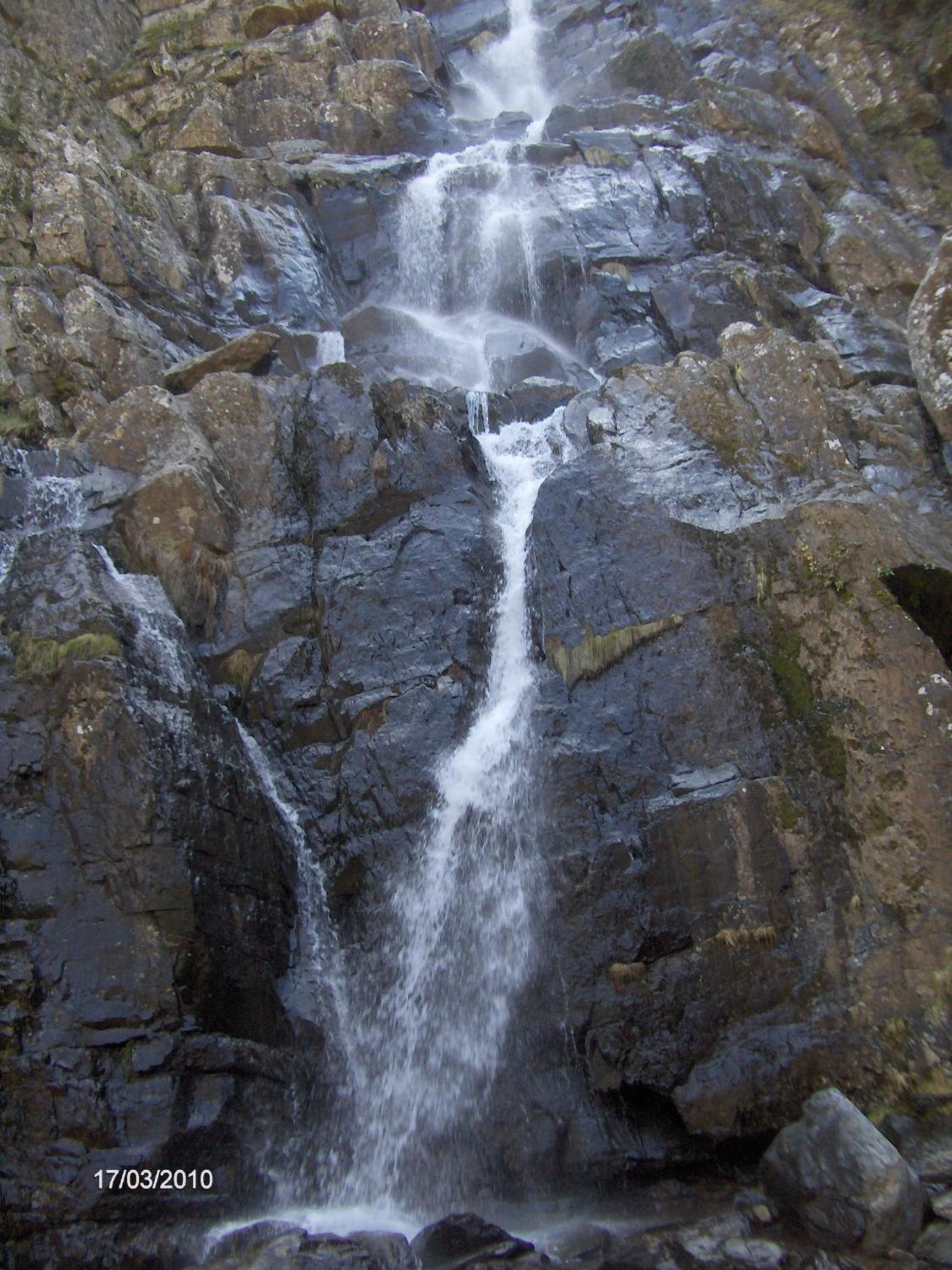 Photo 42