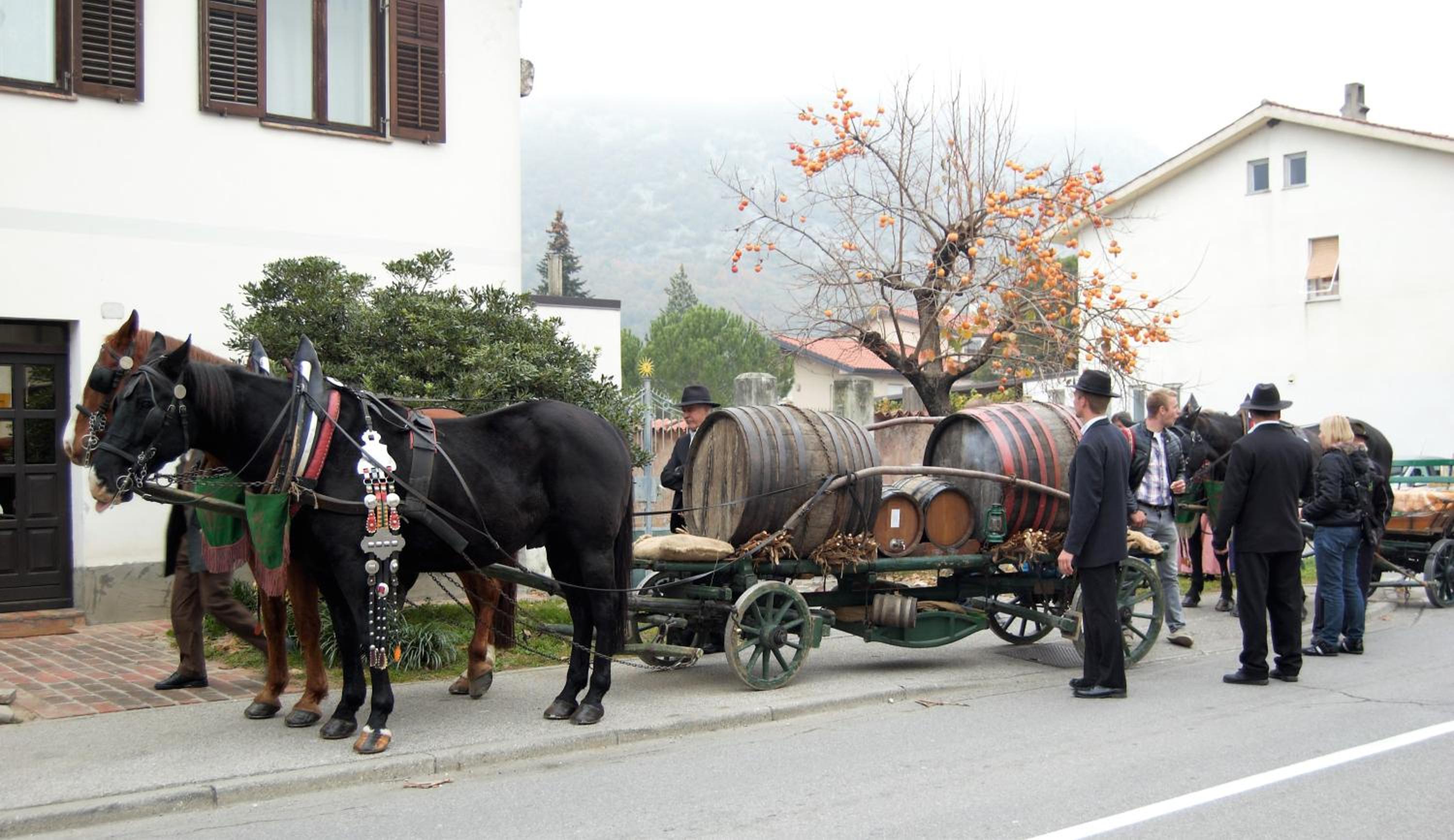 Andron, photo 15