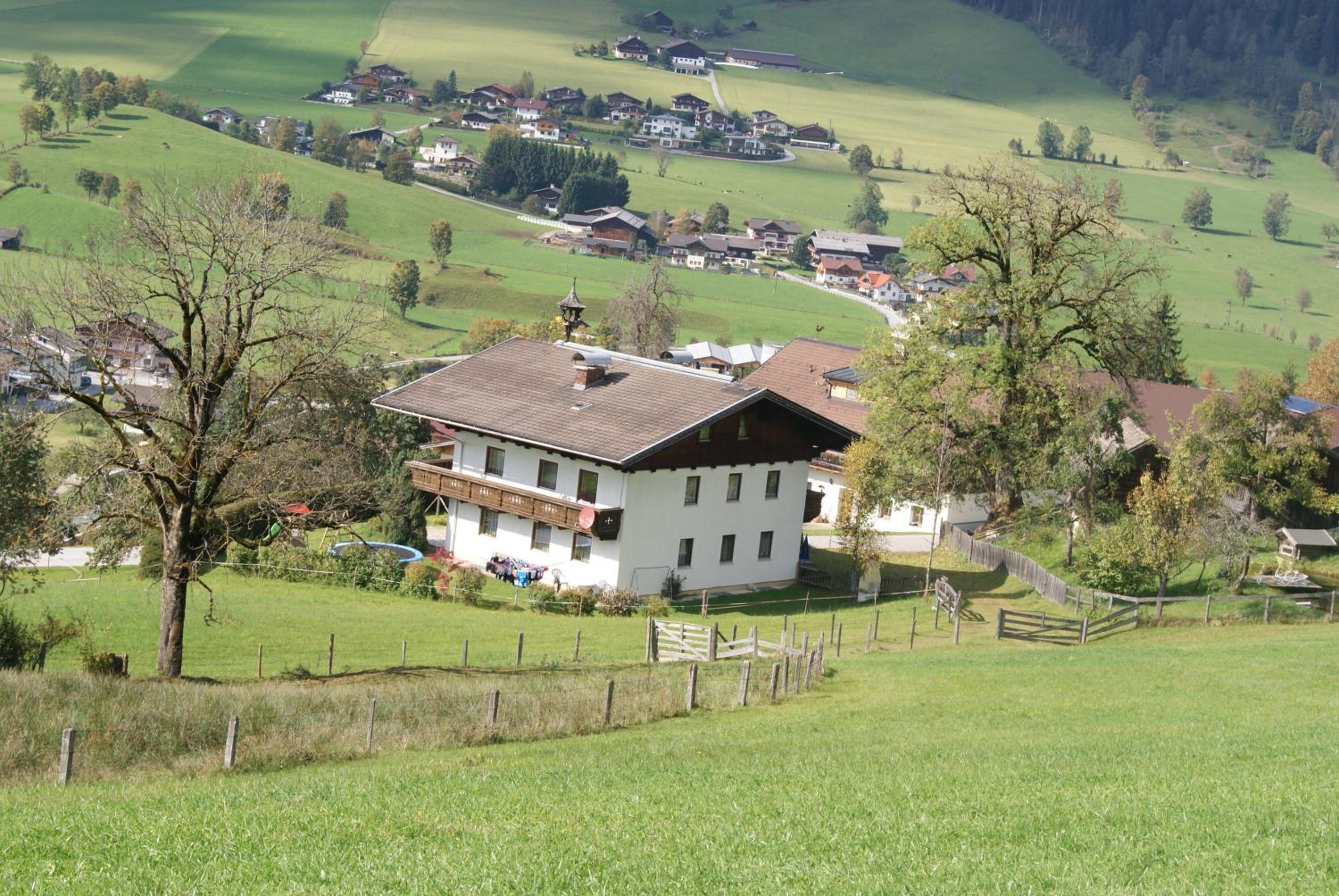 Steinerbauer