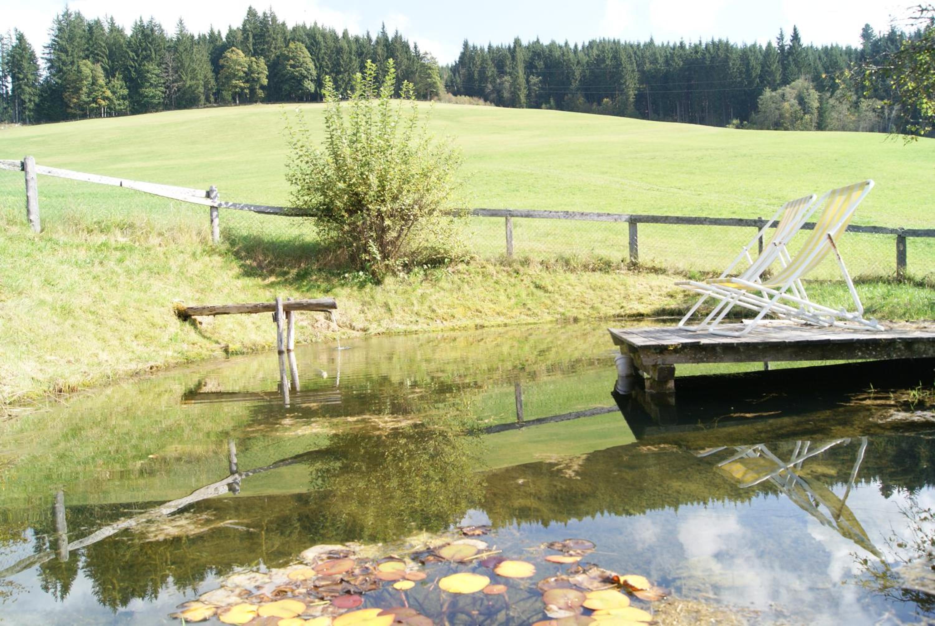 Steinerbauer