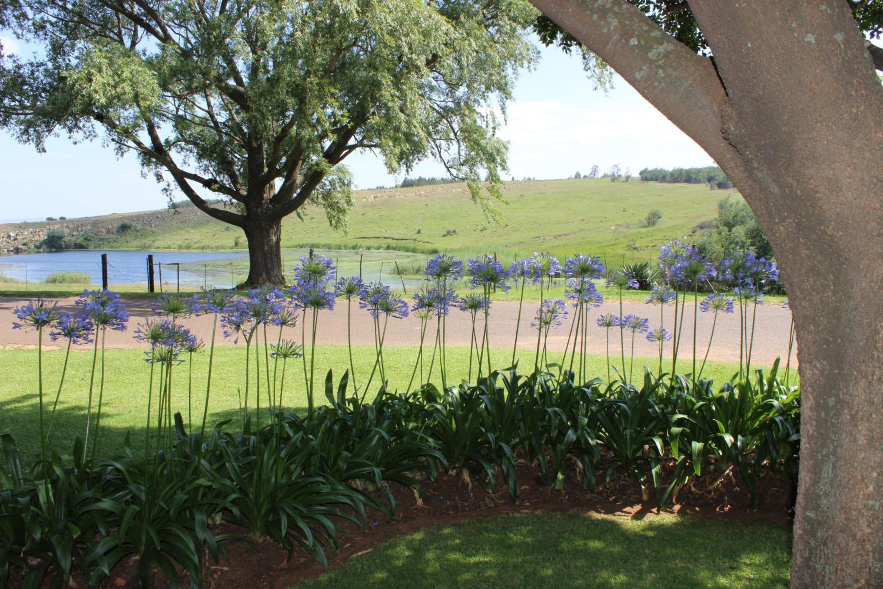 Waterfront Guest House view 3