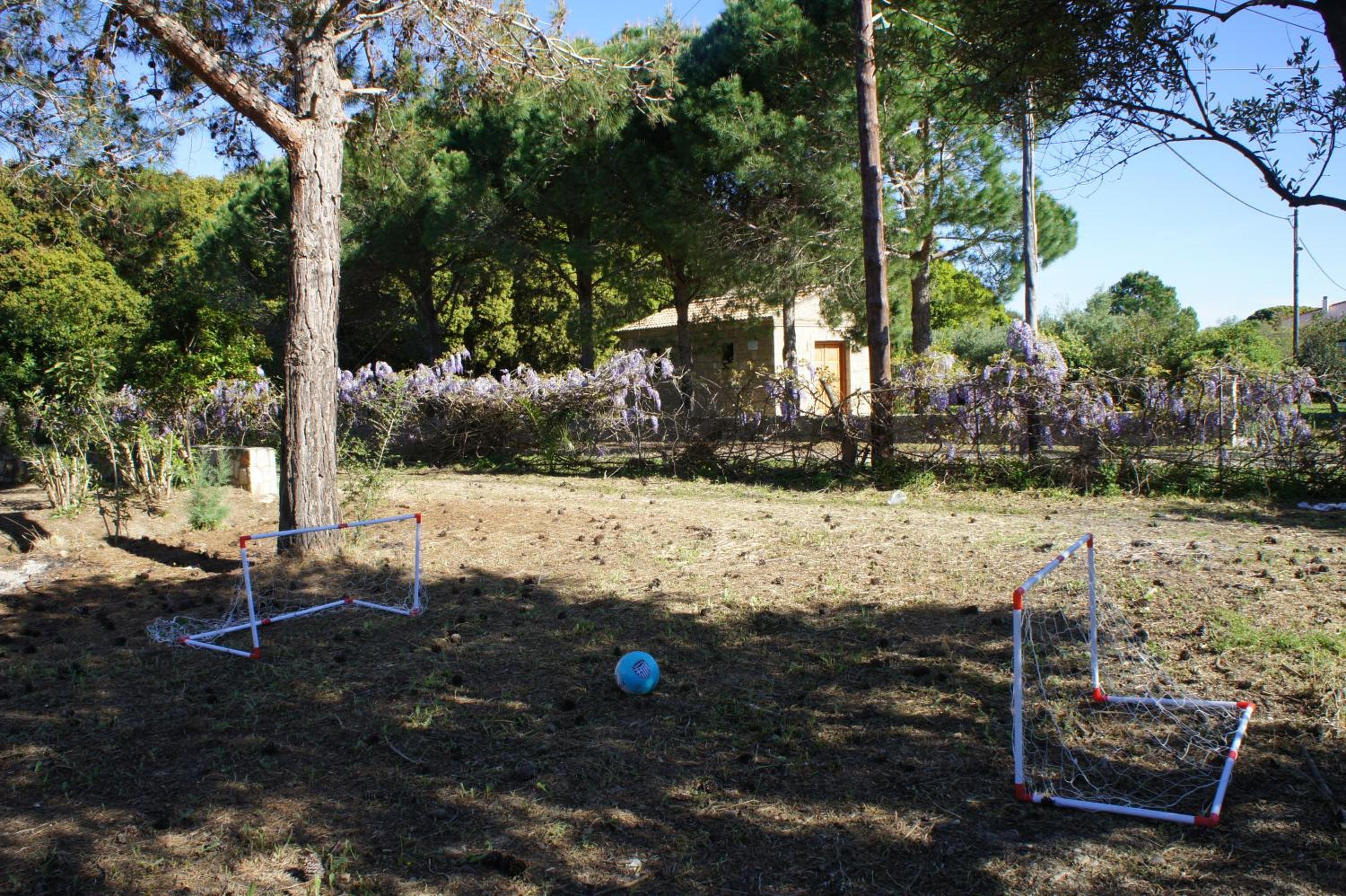Photo 45
