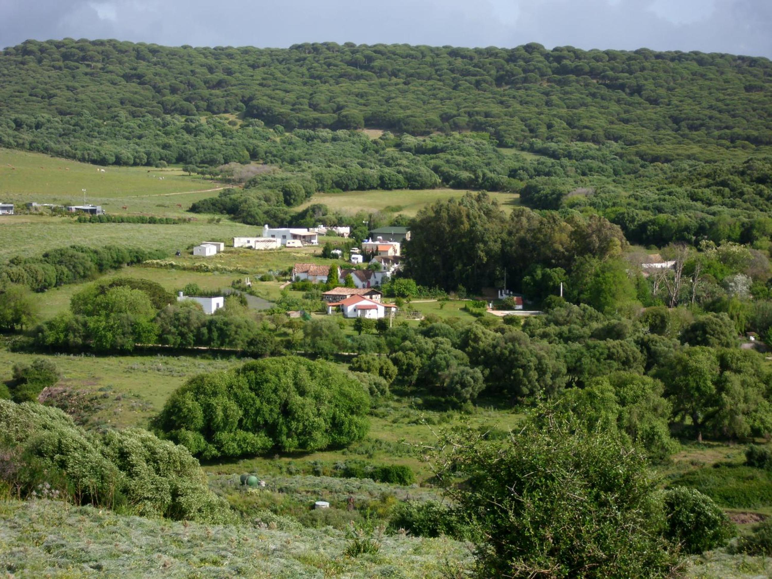 Photo 42