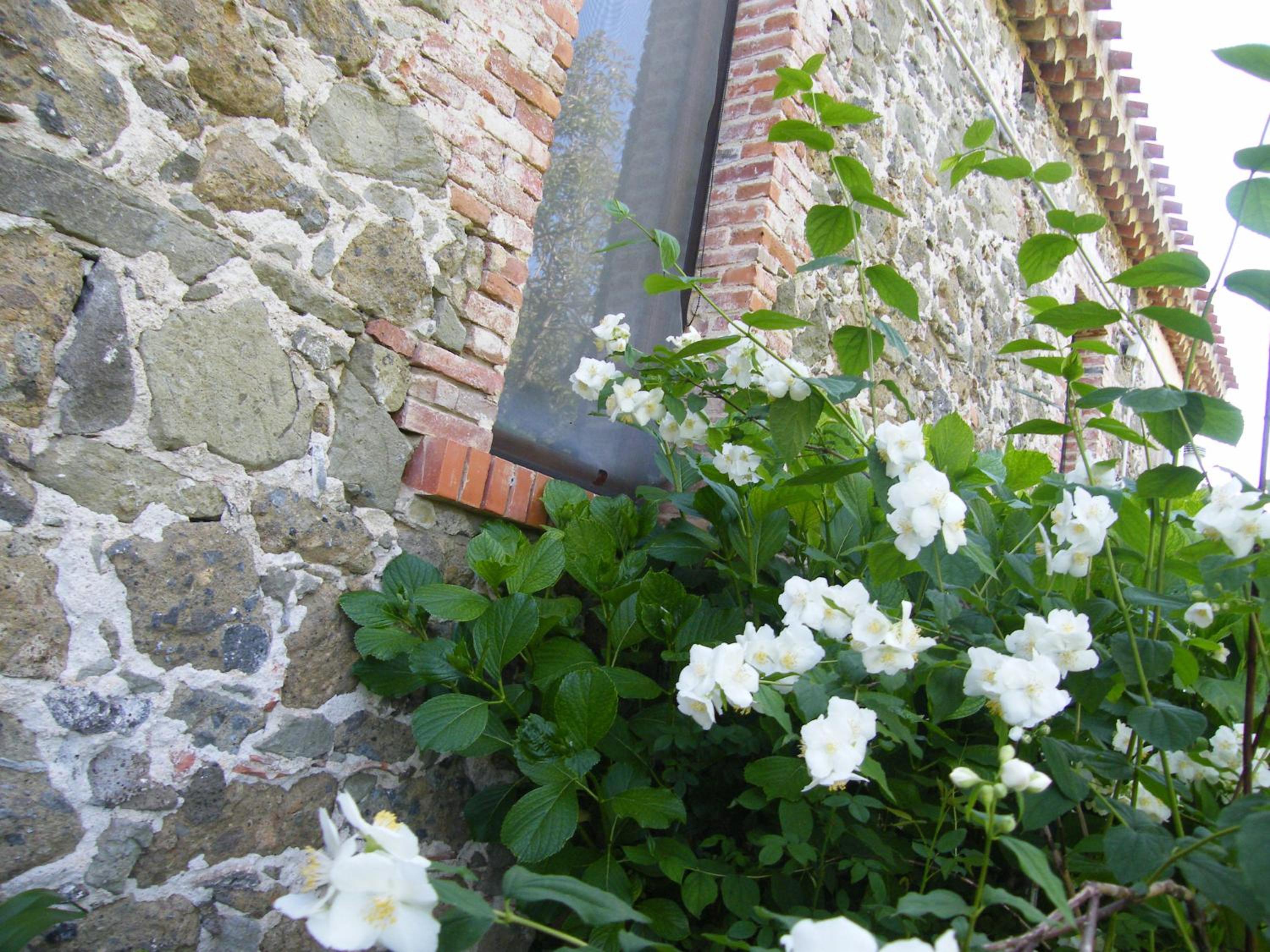 Photo 107