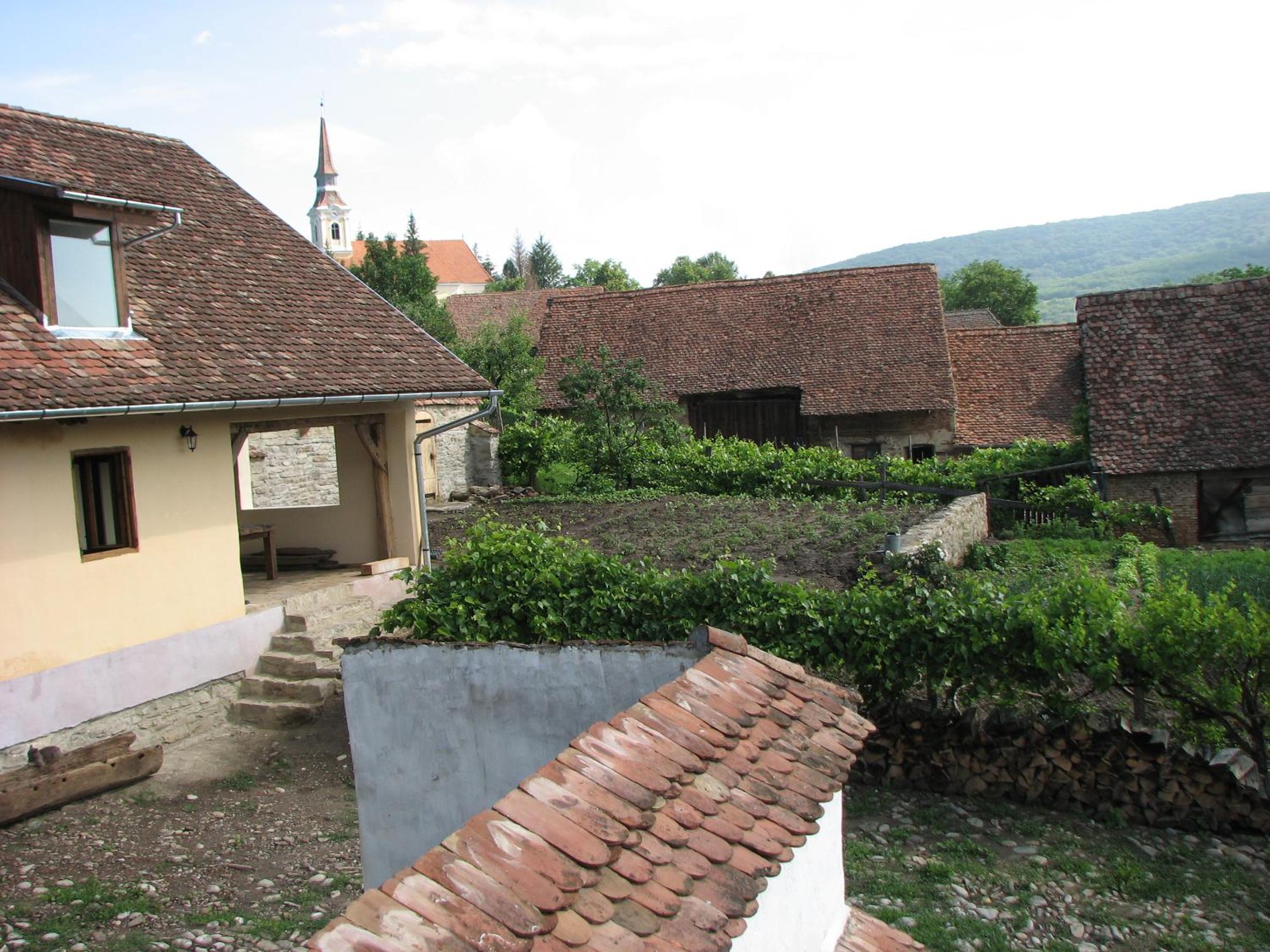 Photo 20