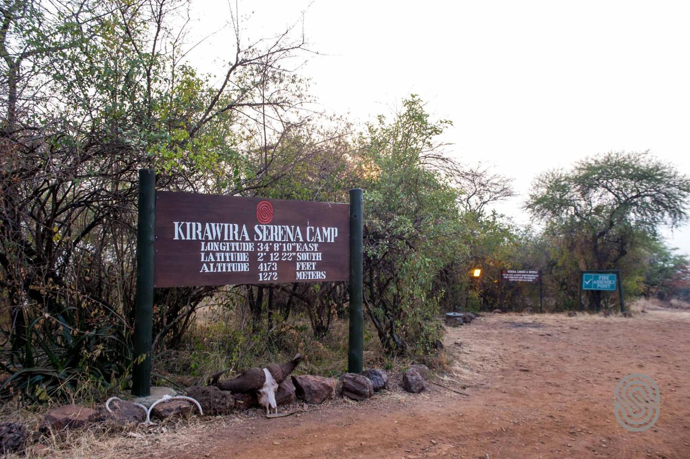 Kirawira Serena Camp