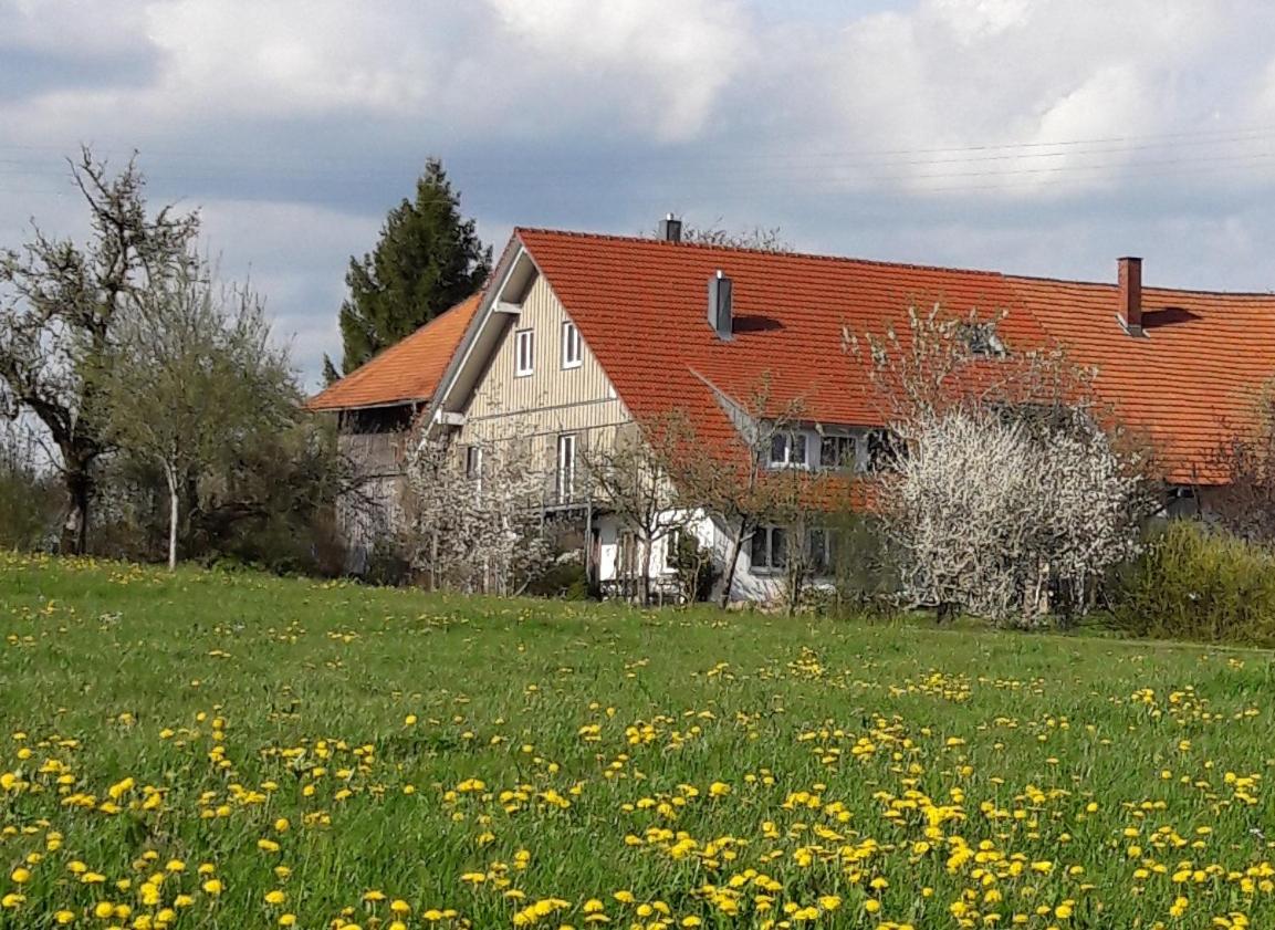 Ferienwohnung Rupp Bergblick & private Sauna