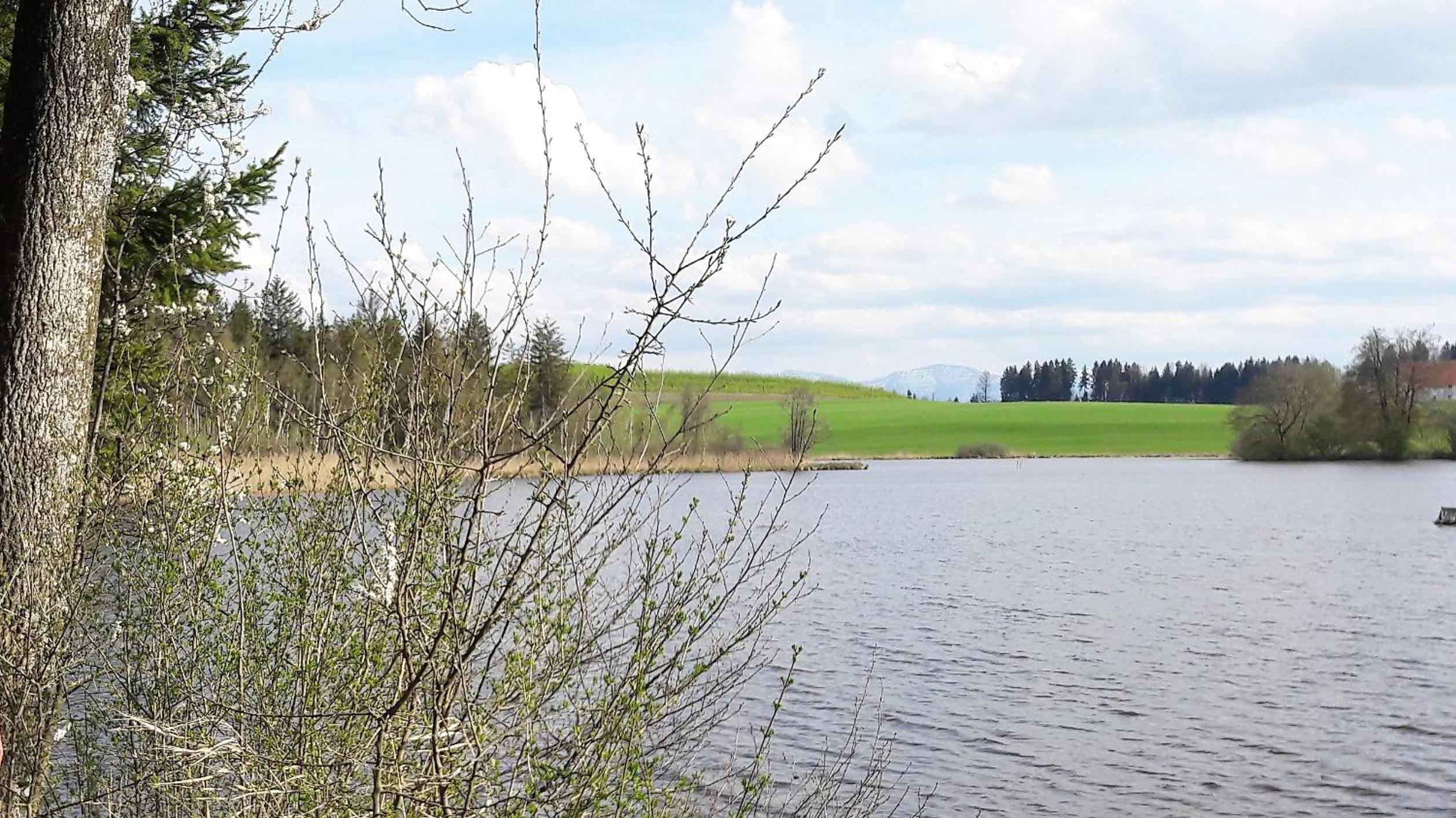 Ferienwohnung Rupp Bergblick & private Sauna