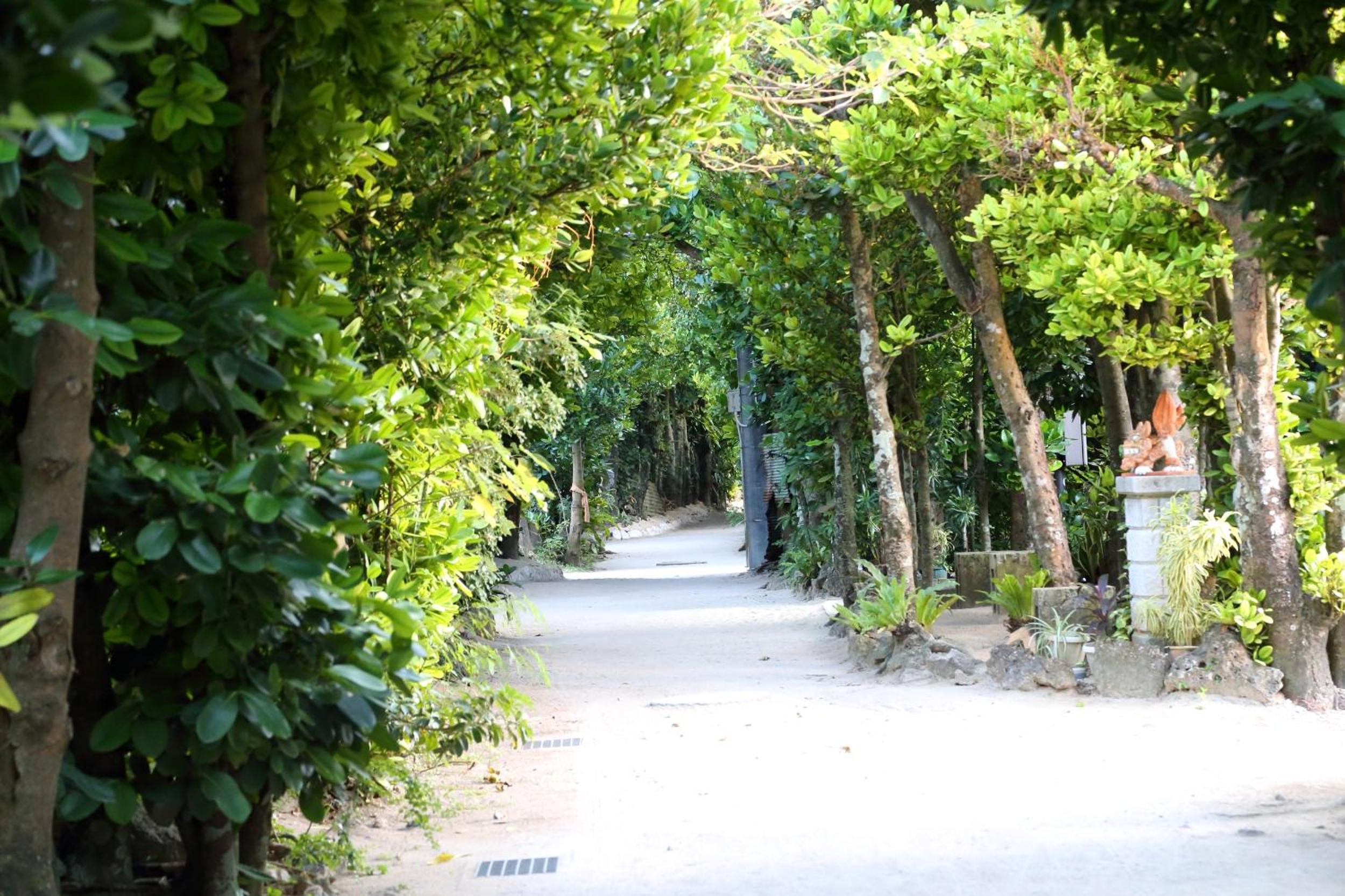 Tabinoteitaku Okinawa Bise HOMANN CONCEPT